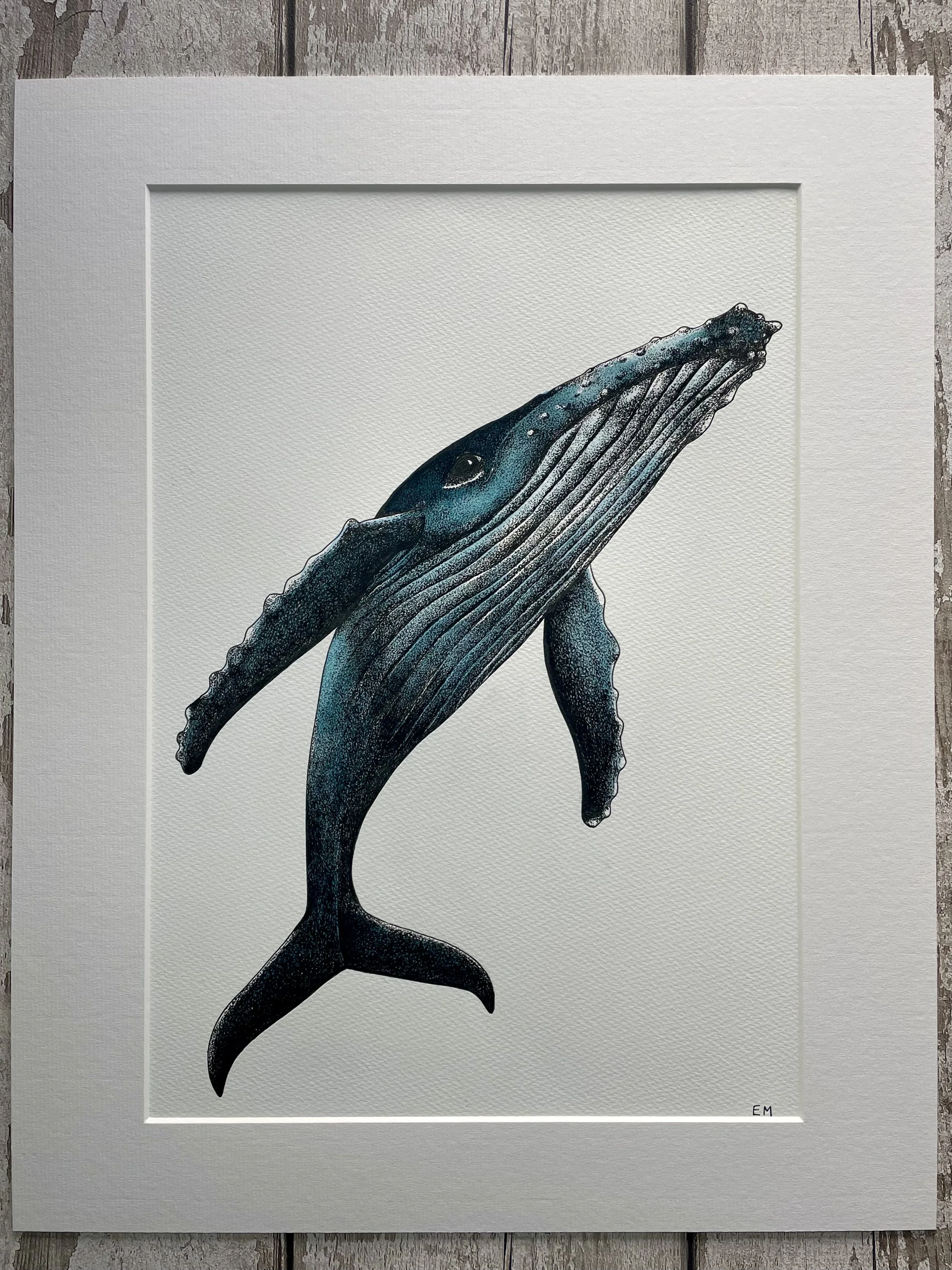 ©Lissy-Marsh-Humpback-Whale