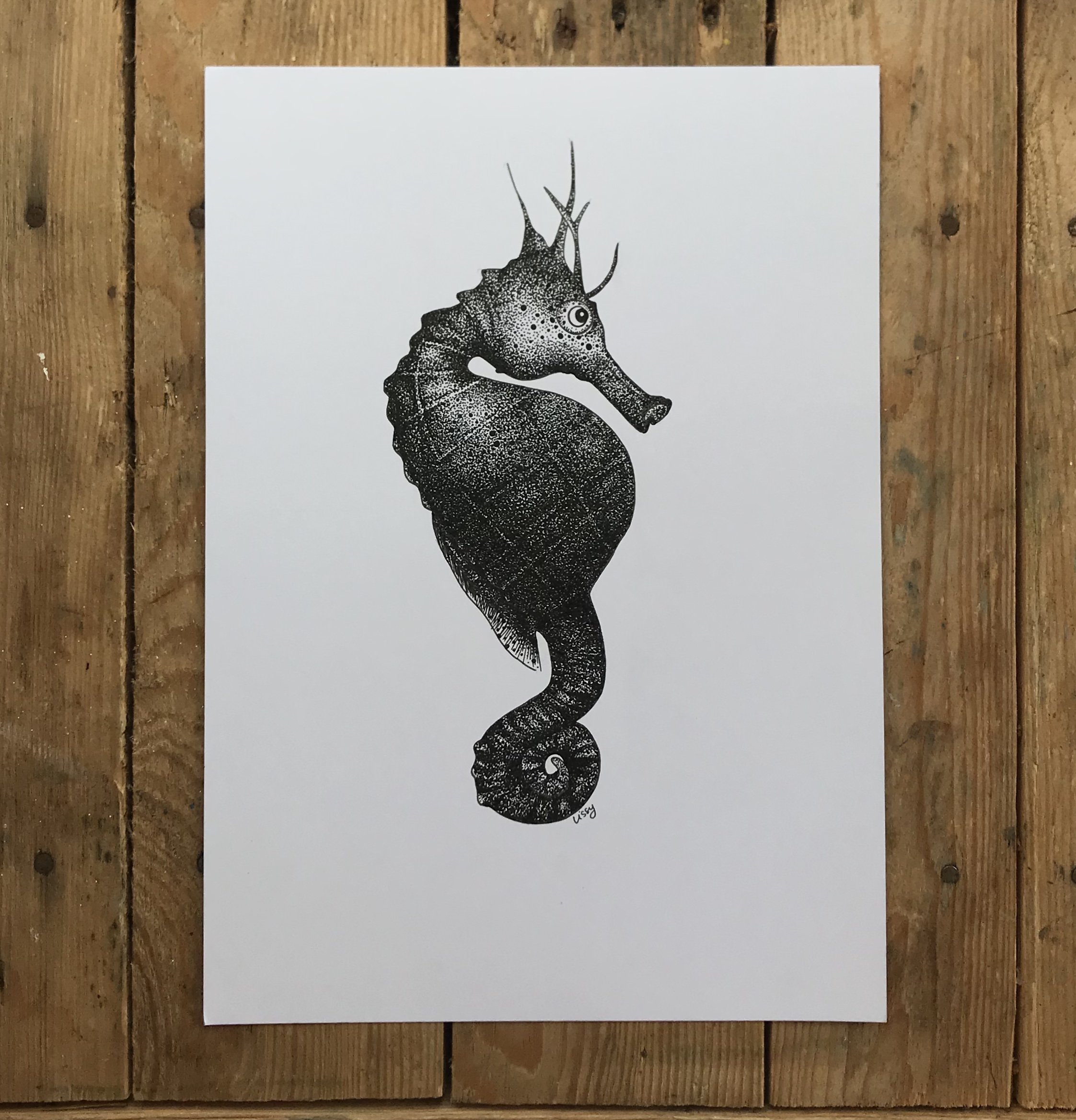 ©Lissy-Marsh-Seahorse