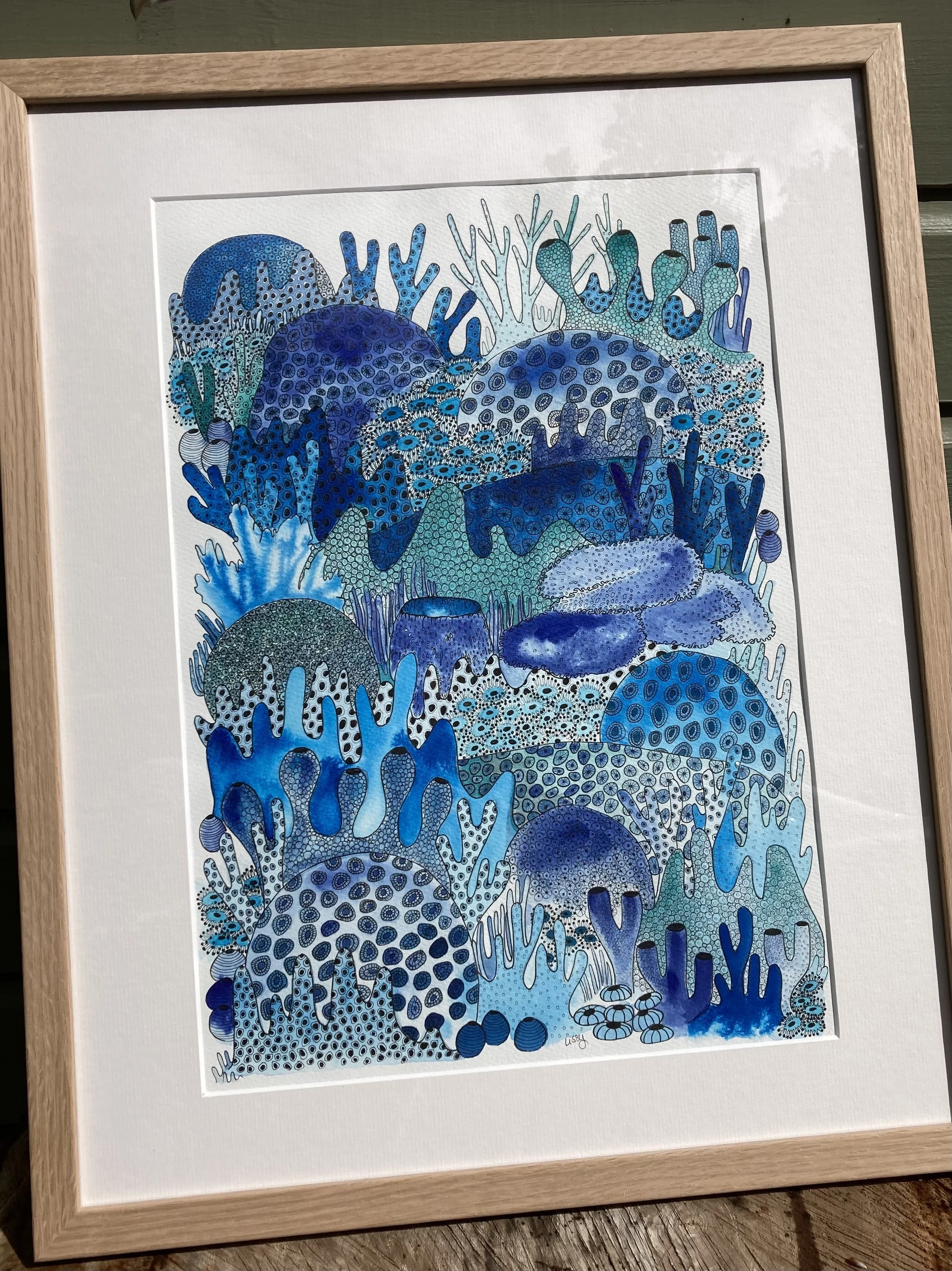 ©Lissy-Marsh-Coral-Blues