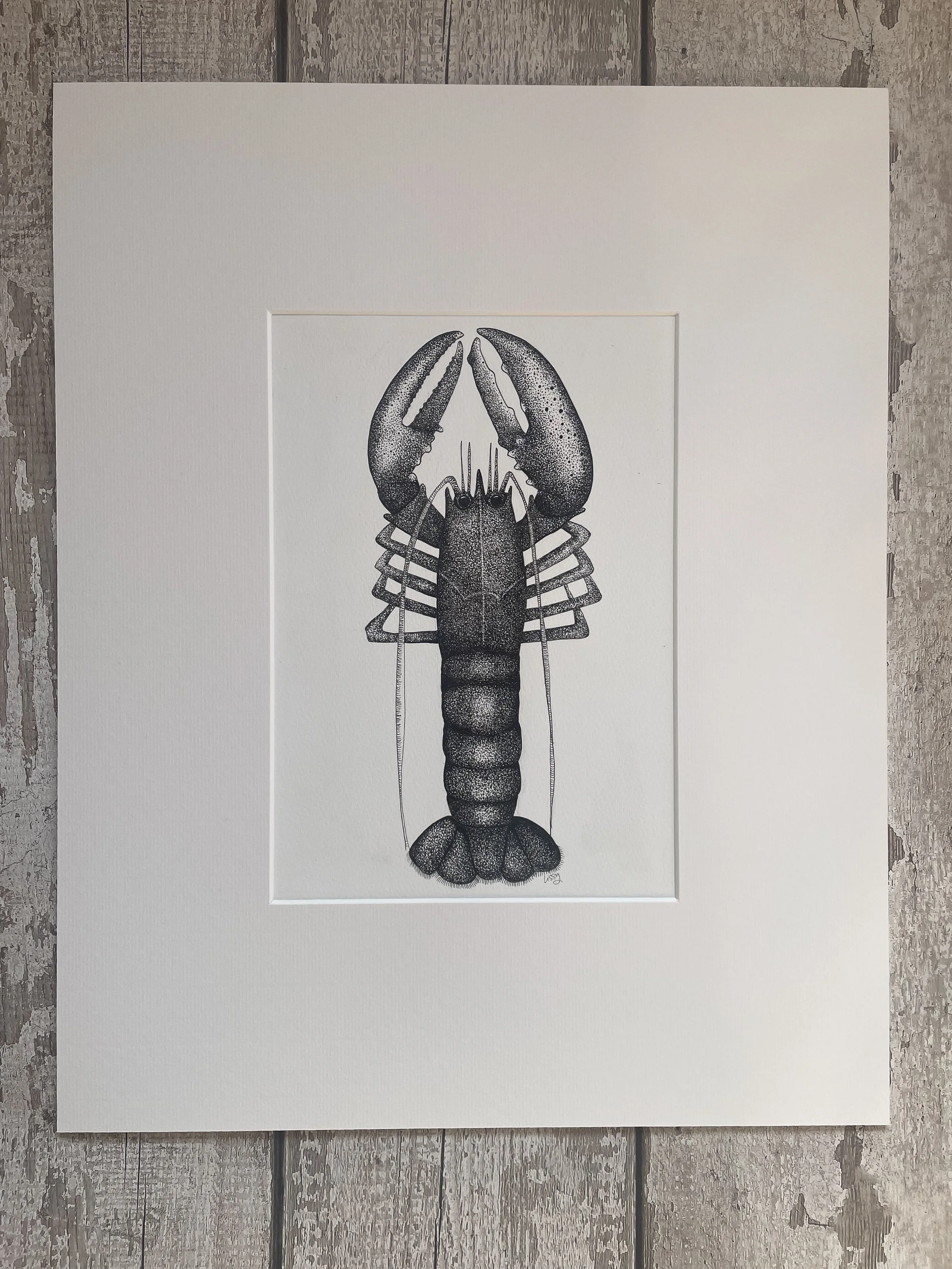 ©Lissy-Marsh-Lobster