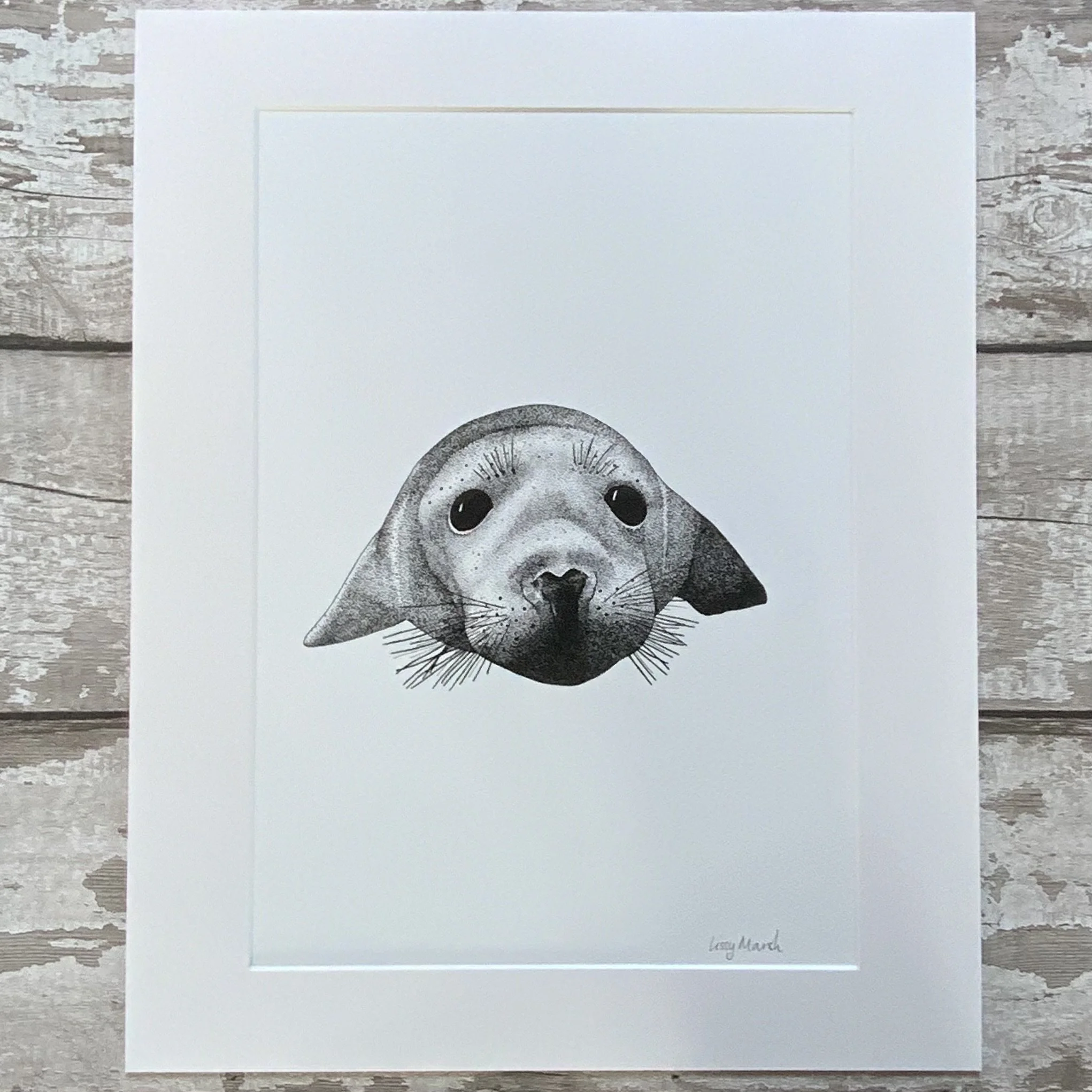 ©Lissy-Marsh-Seal-Pup