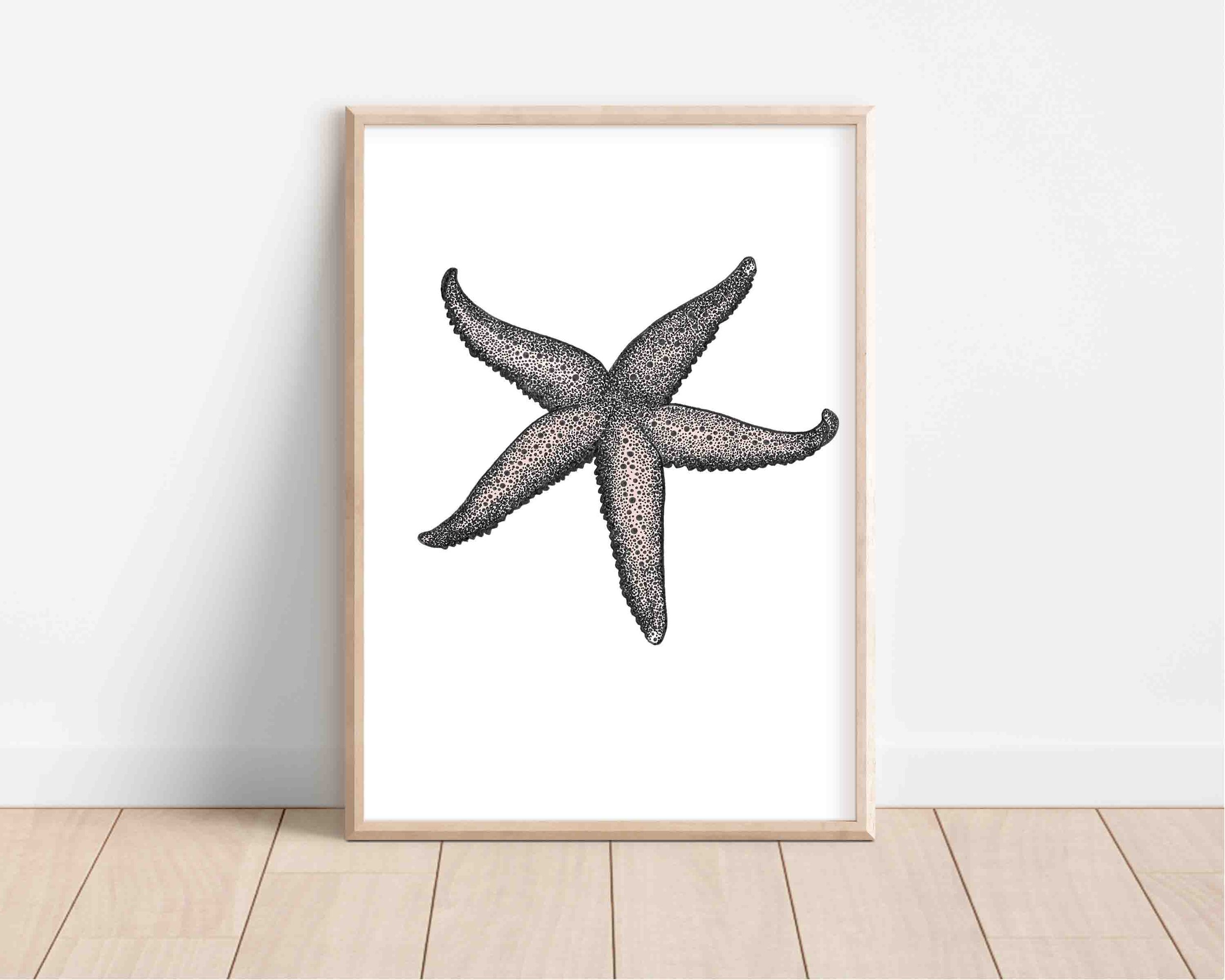 Starfish in frame.jpg