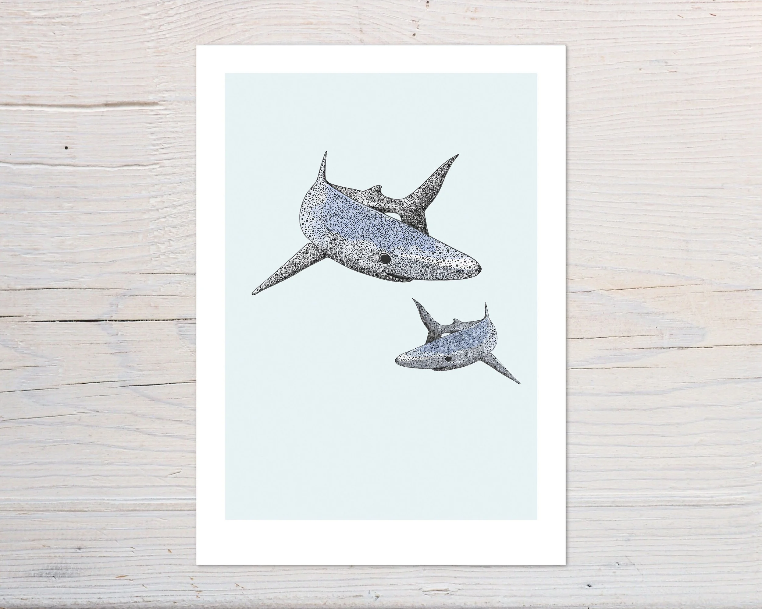Blue Shark Print