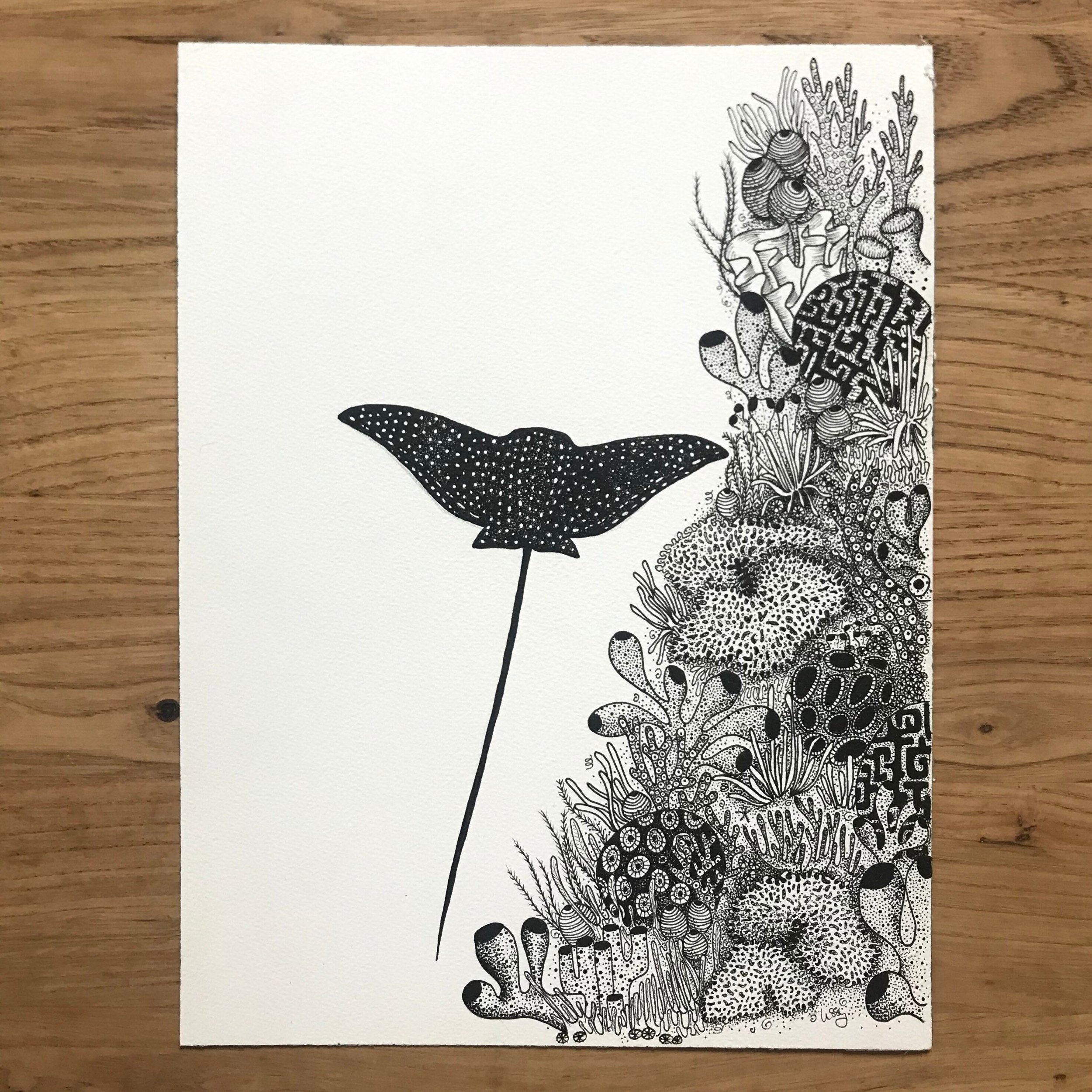 https://i.etsystatic.com/15008422/r/il/fb5d21/2424354654/il_fullxfull.2424354654_ik4n.jpg