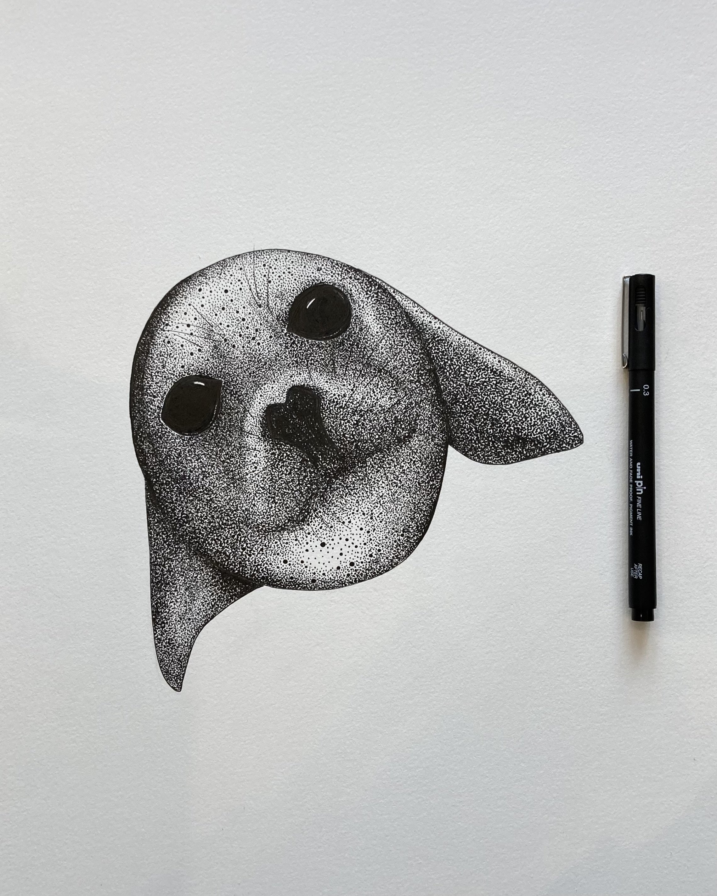 ©Lissy-Marsh-Seal-Pup