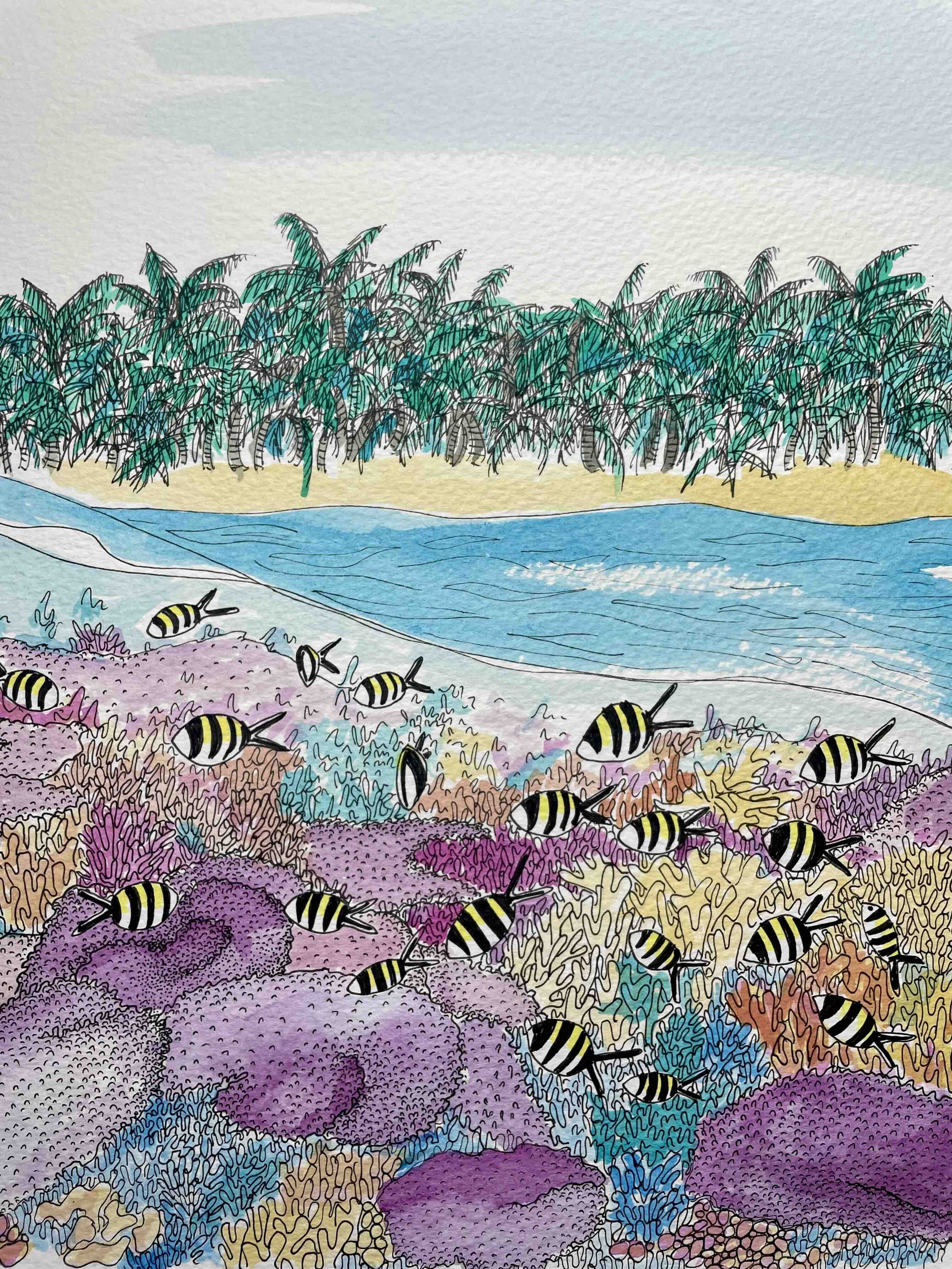 Great Barrier Reef © Lissy Marsh
