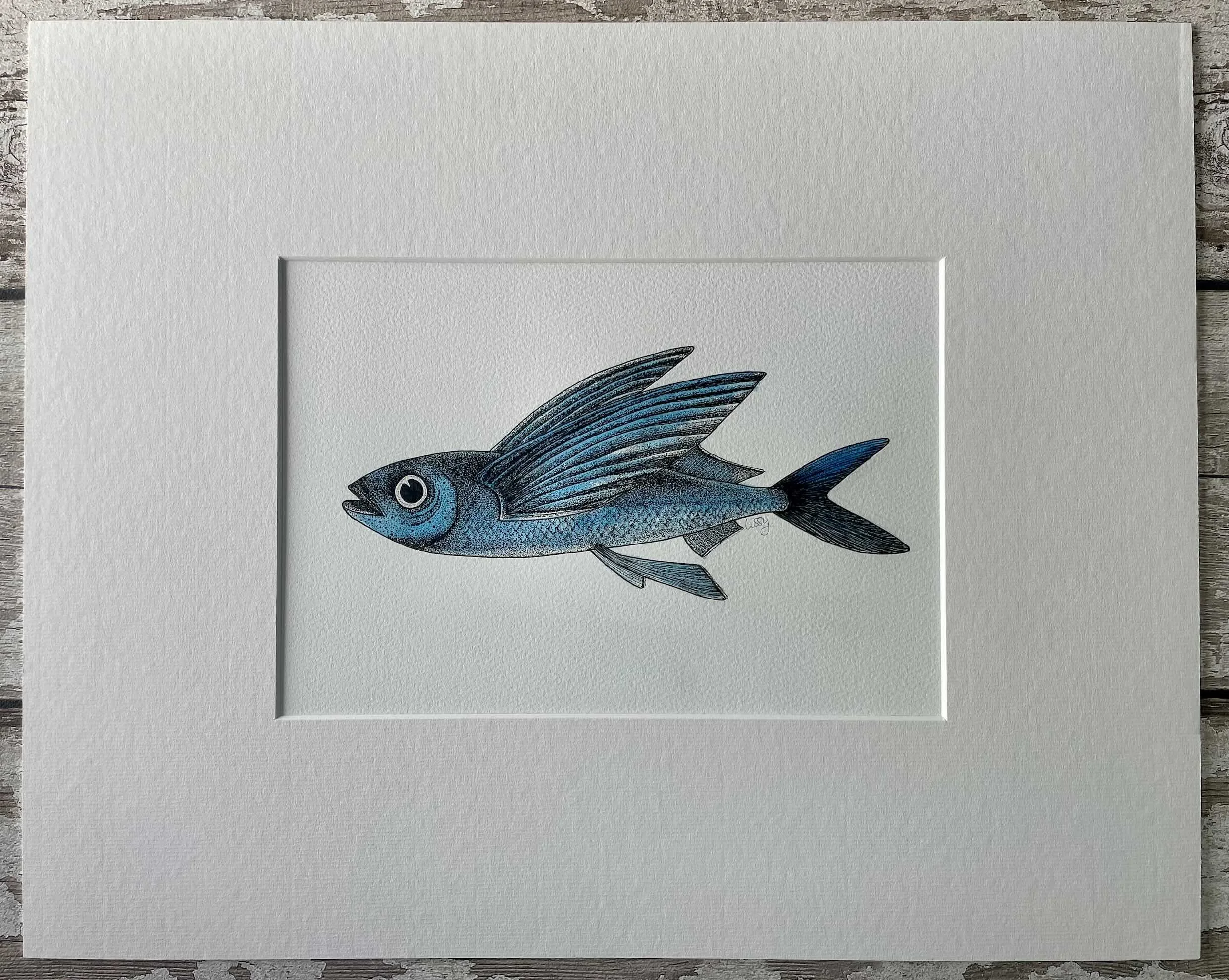 Flying Fish © Lissy Marsh