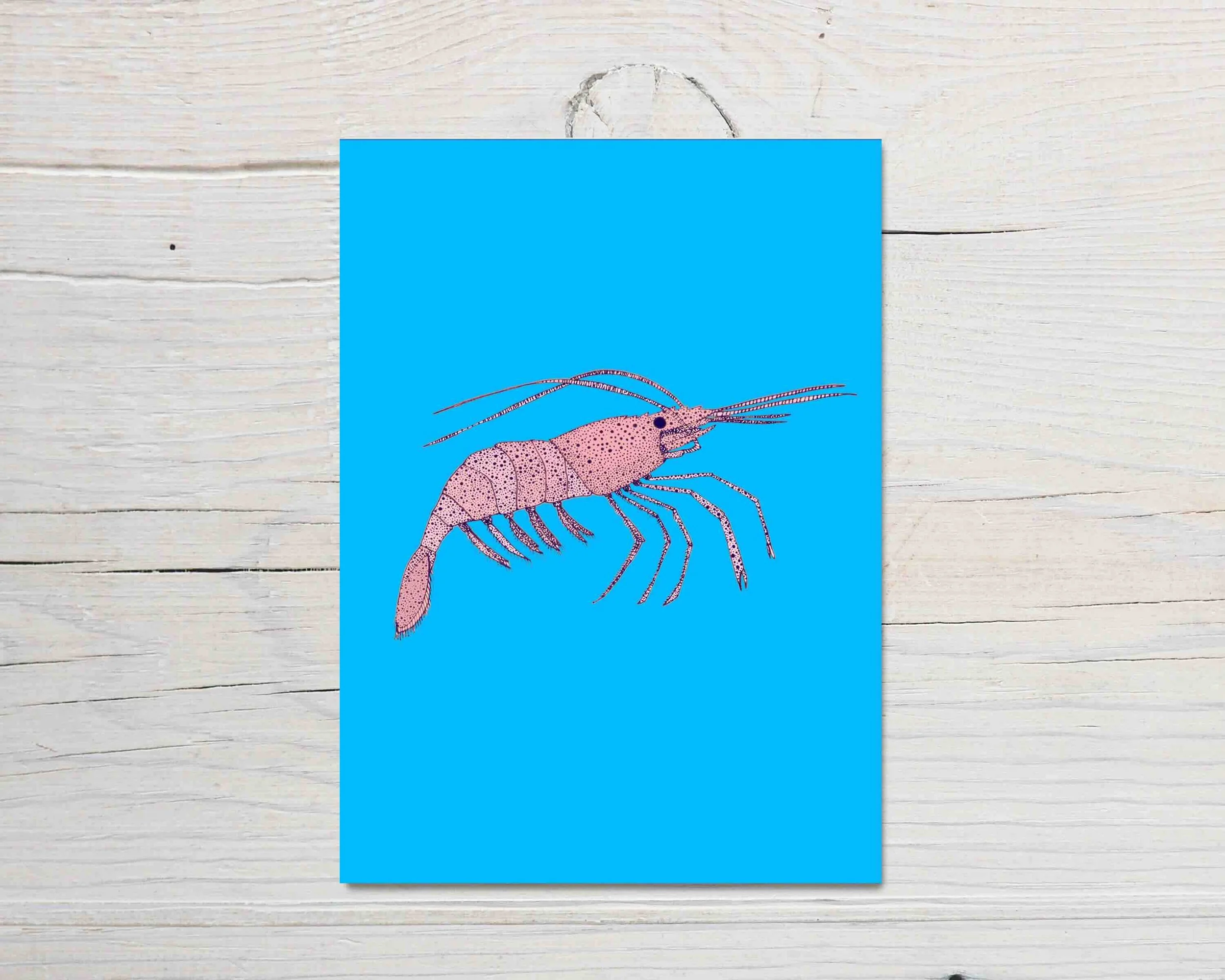 Prawn pop art card