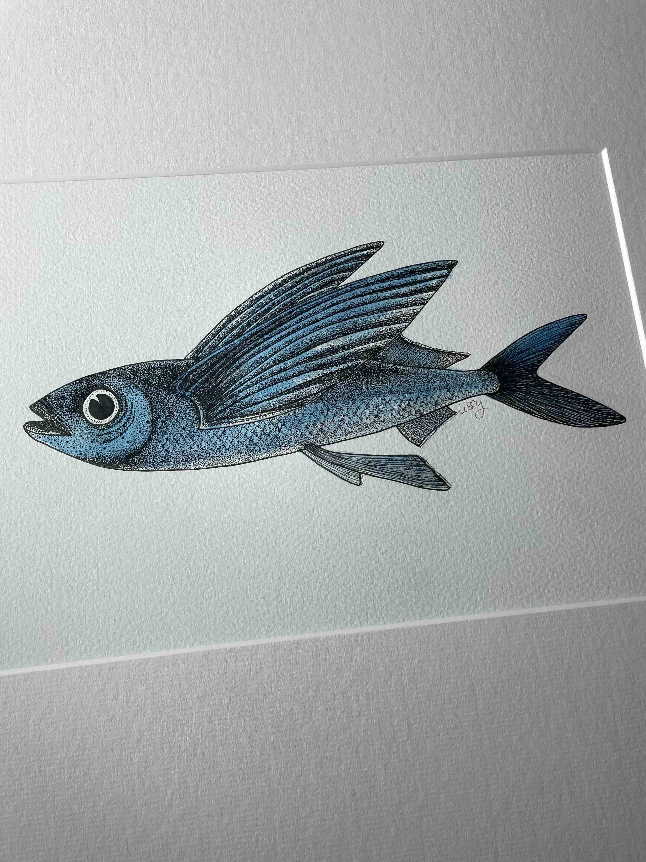 Flying Fish © Lissy Marsh