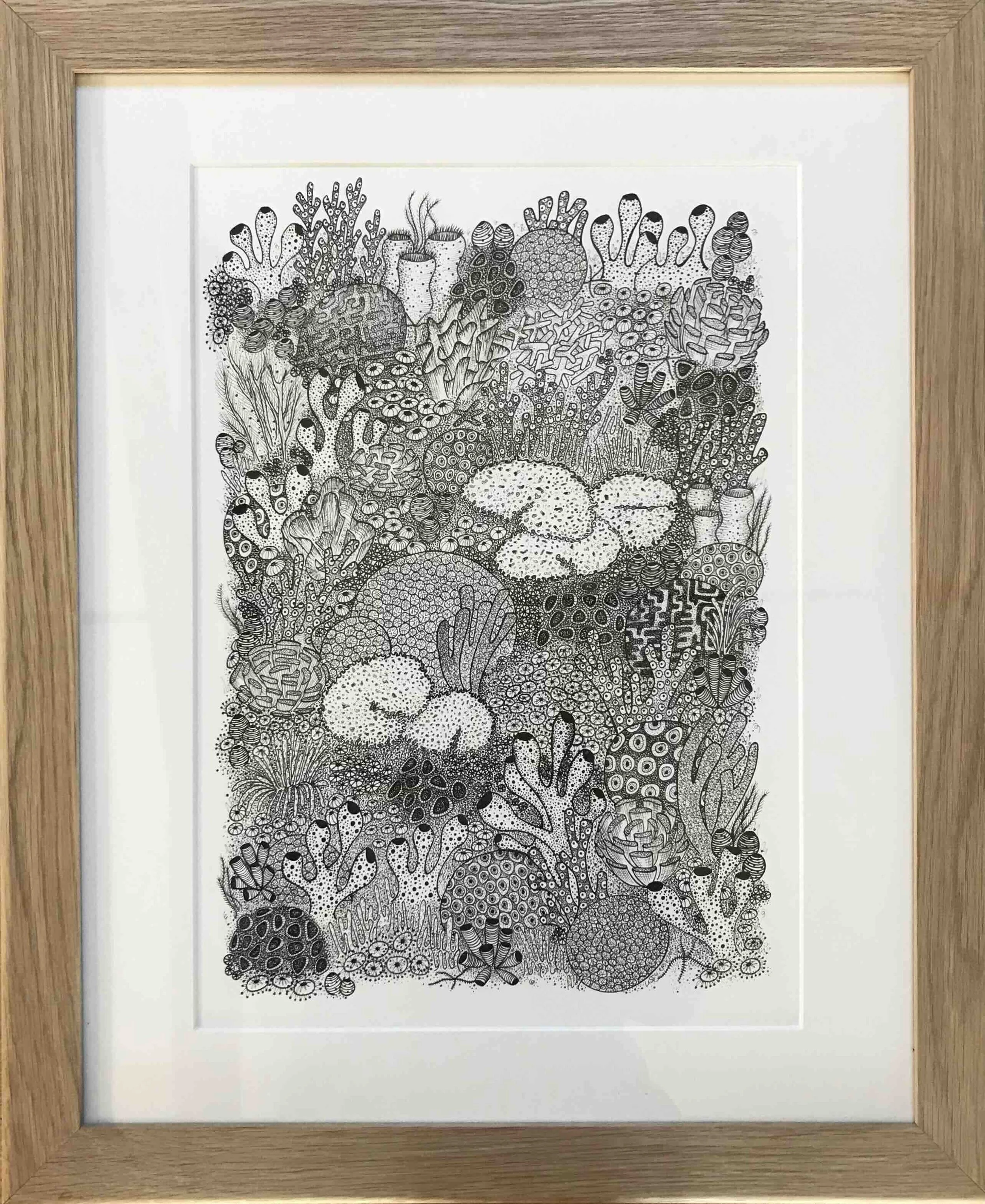 Coral Art ©LissyMarsh