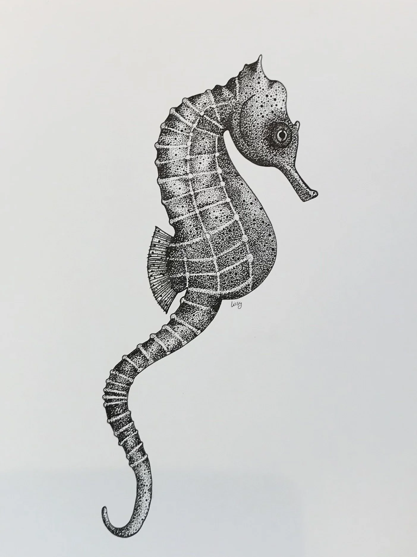 ©Lissy-Marsh-Seahorse