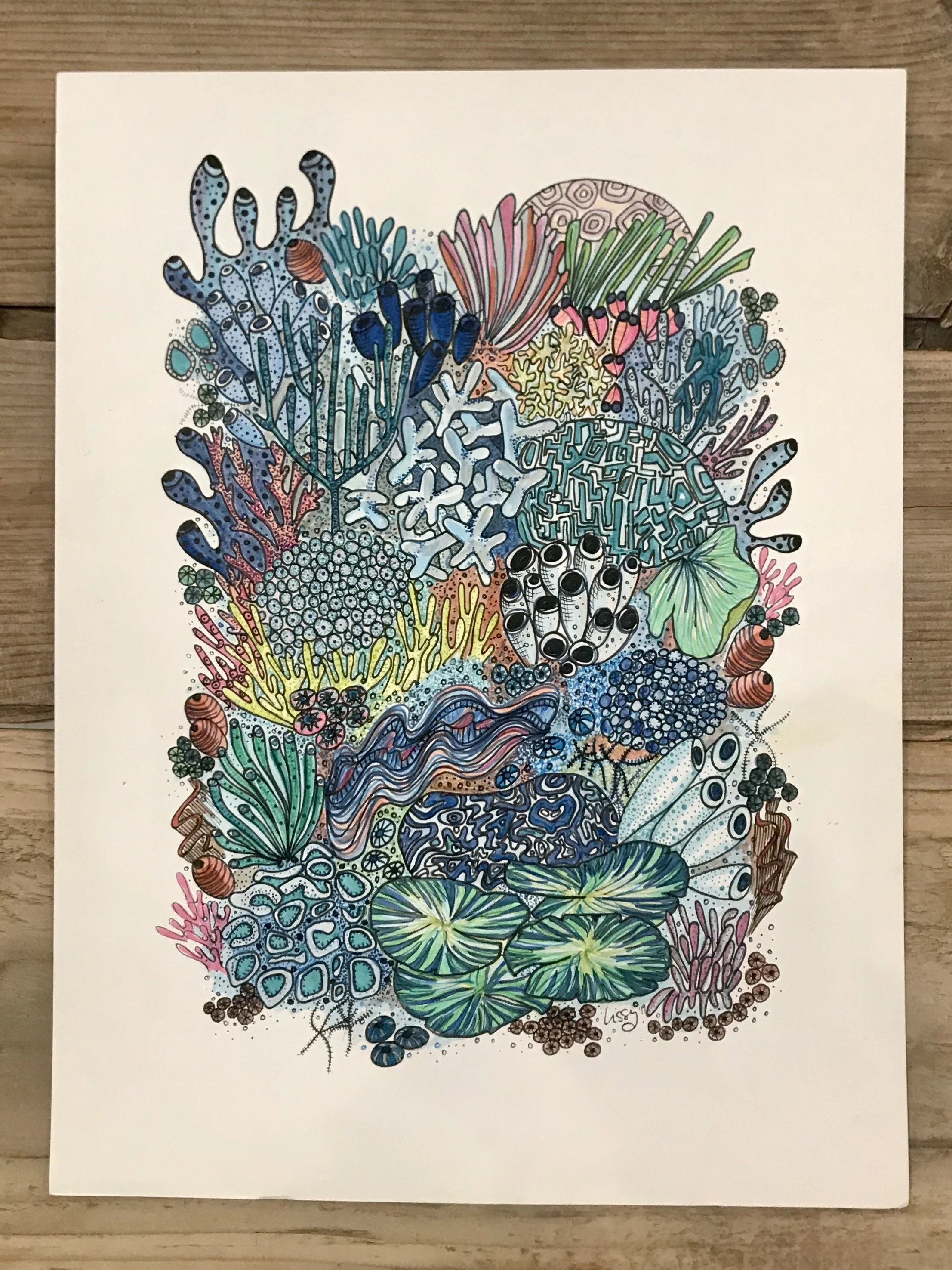 ©Lissy-Marsh-Coral