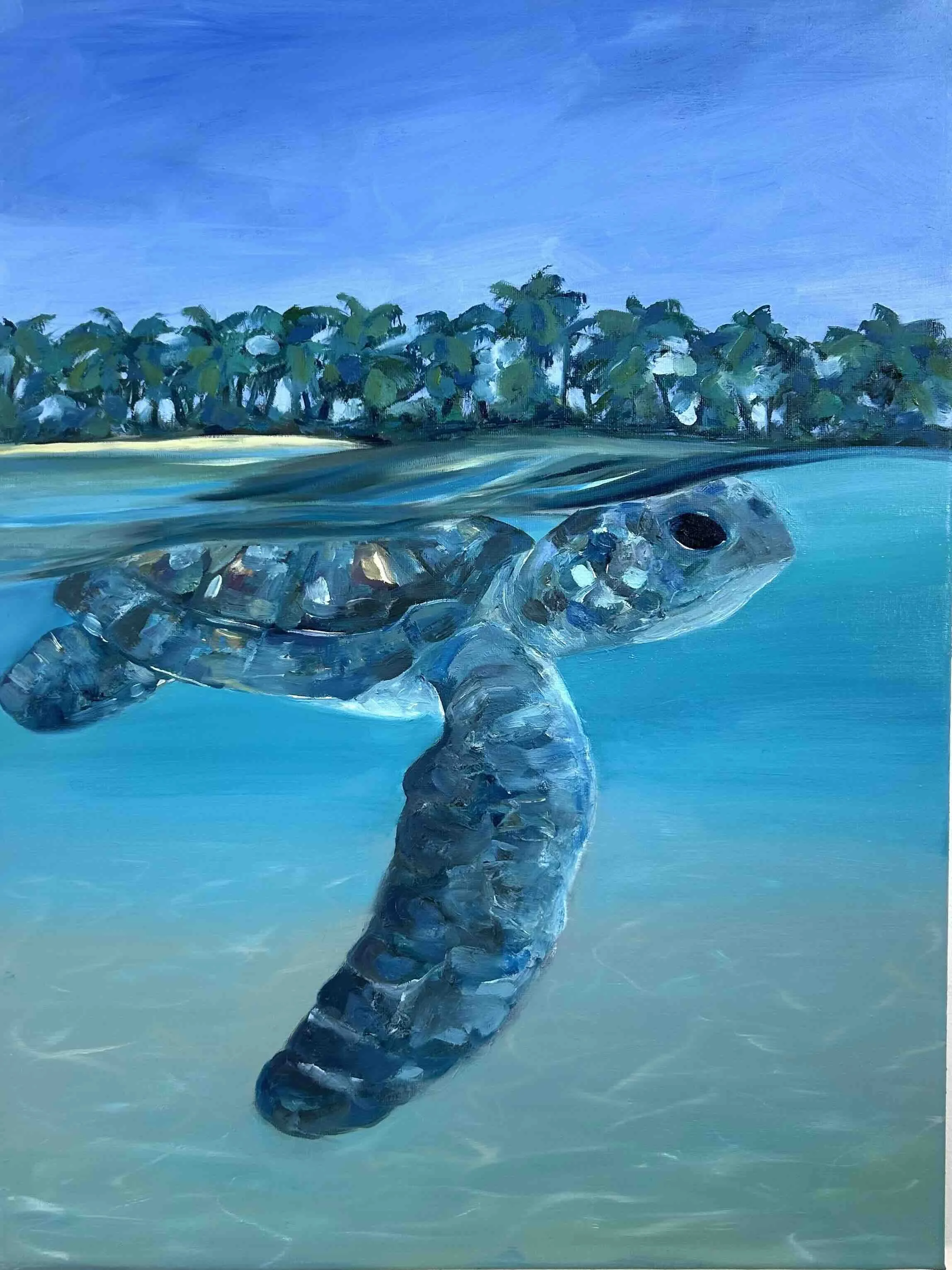 Tortuga oil painting.jpg