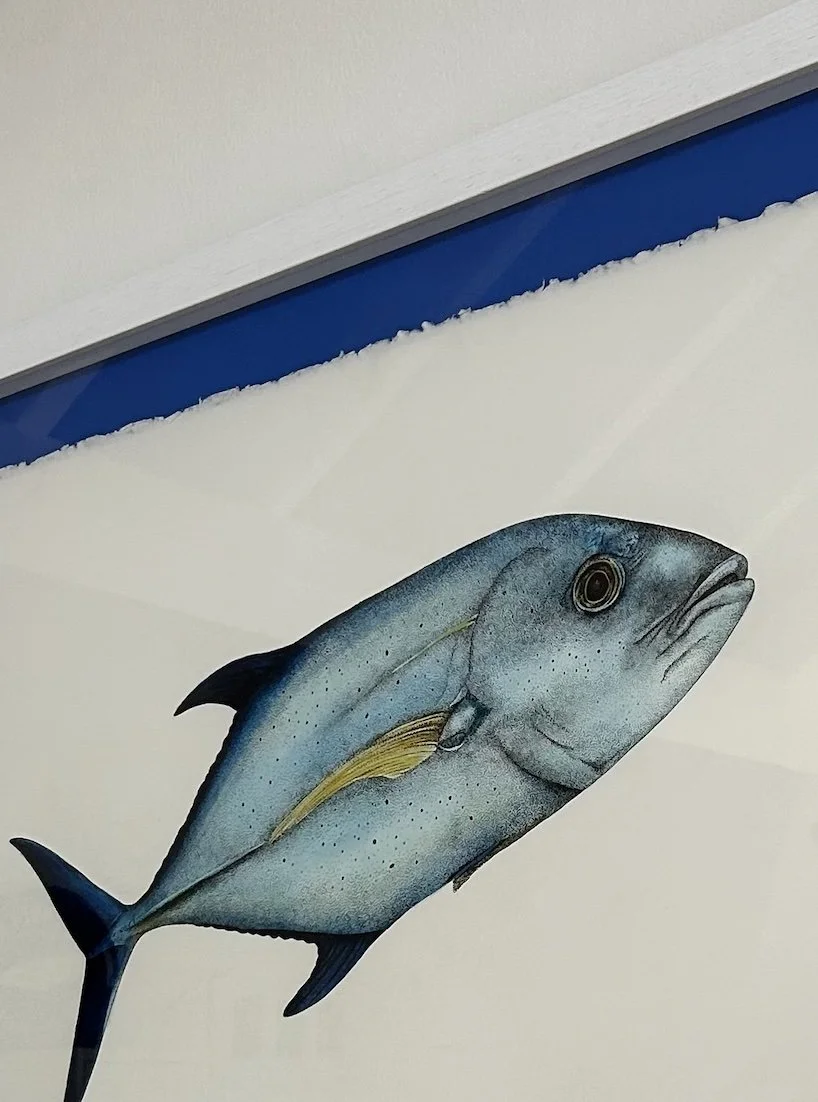 Bluefin detail framed.jpg