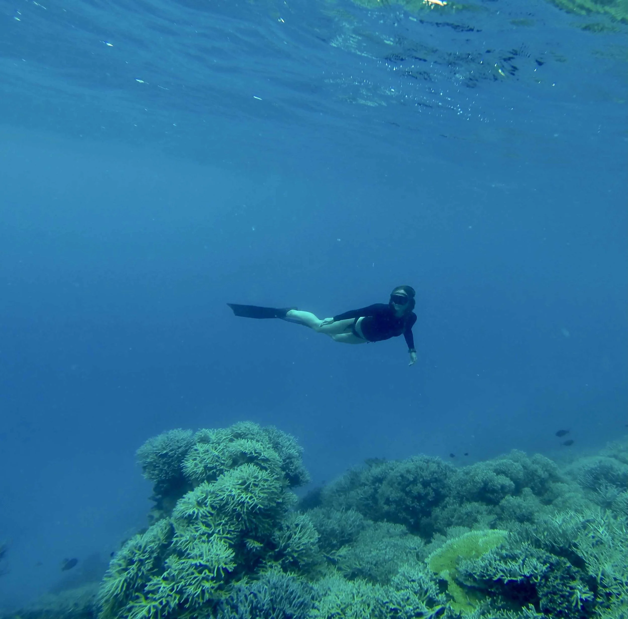 Coral bombie Lissy Marsh
