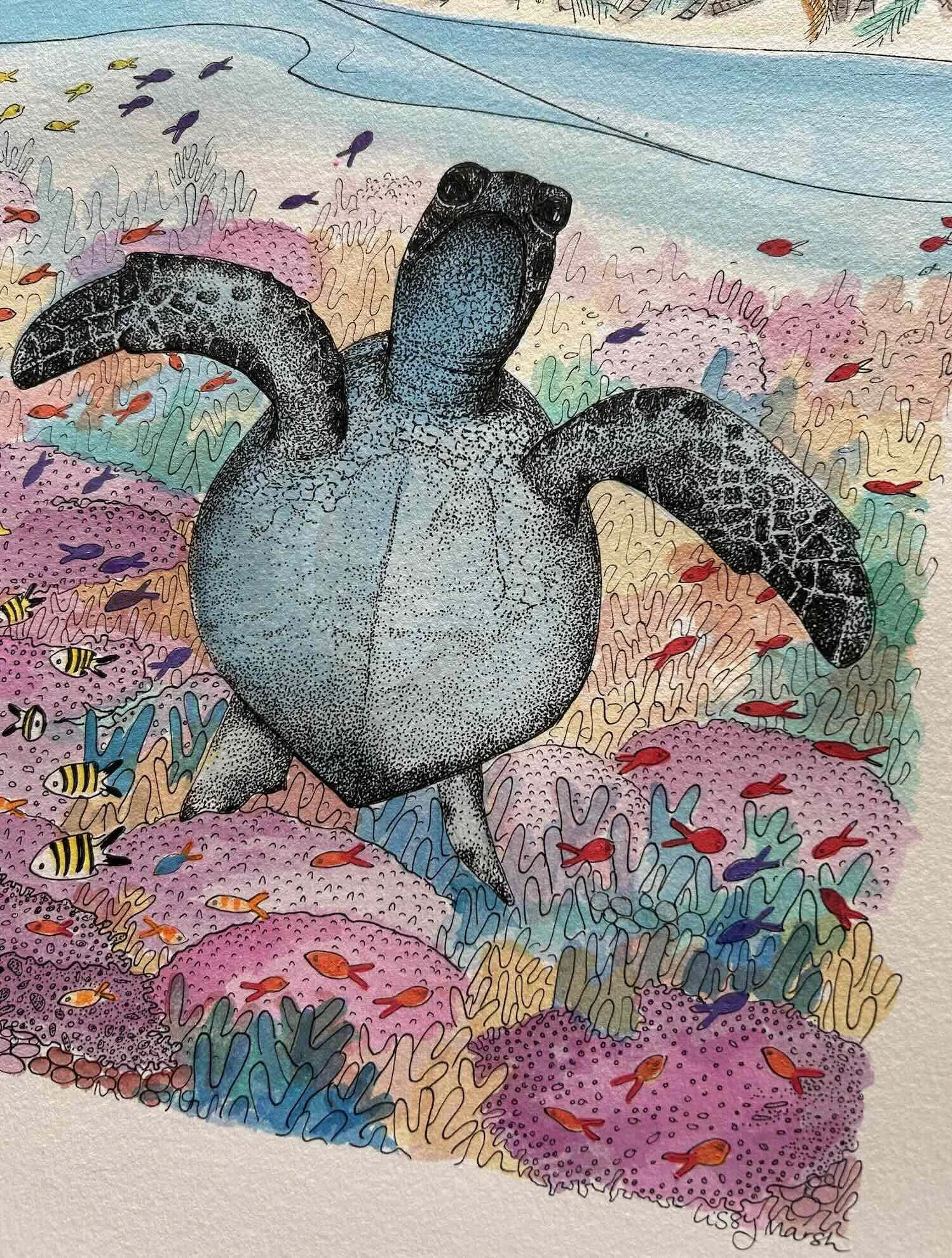 Grumpy turtle © Lissy Marsh