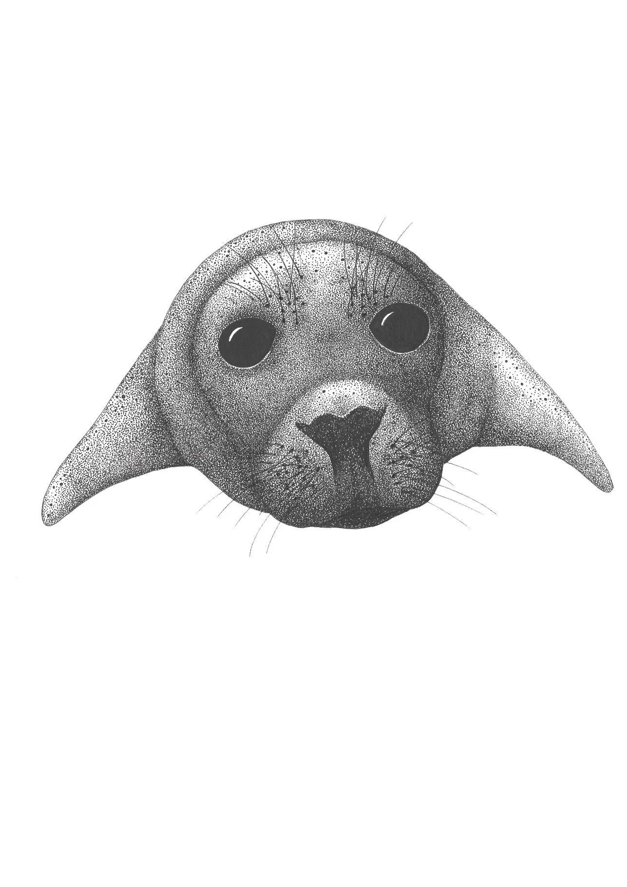Helloo Seal original ink drawing
