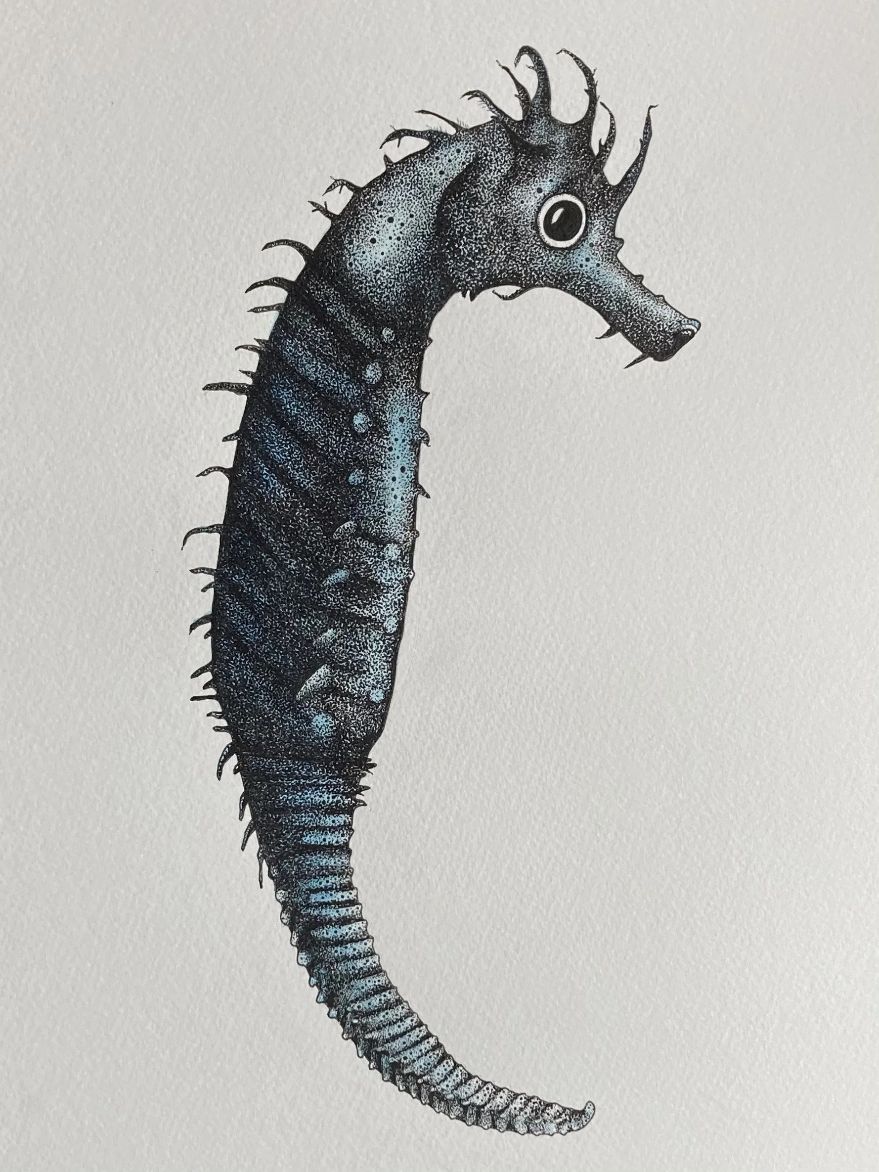 ©Lissy-Marsh-Seahorse