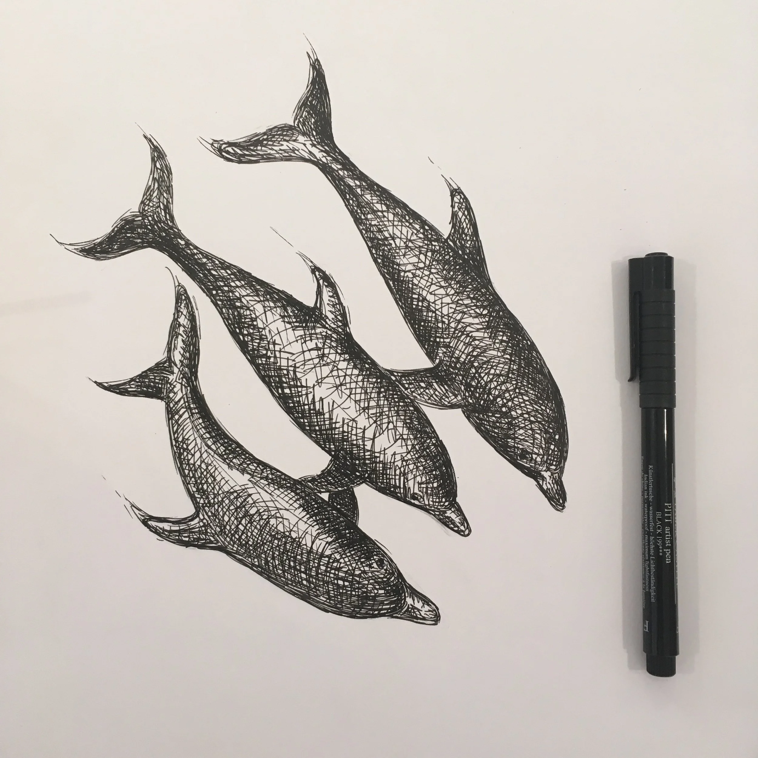 ©Lissy-Marsh-Dolphins