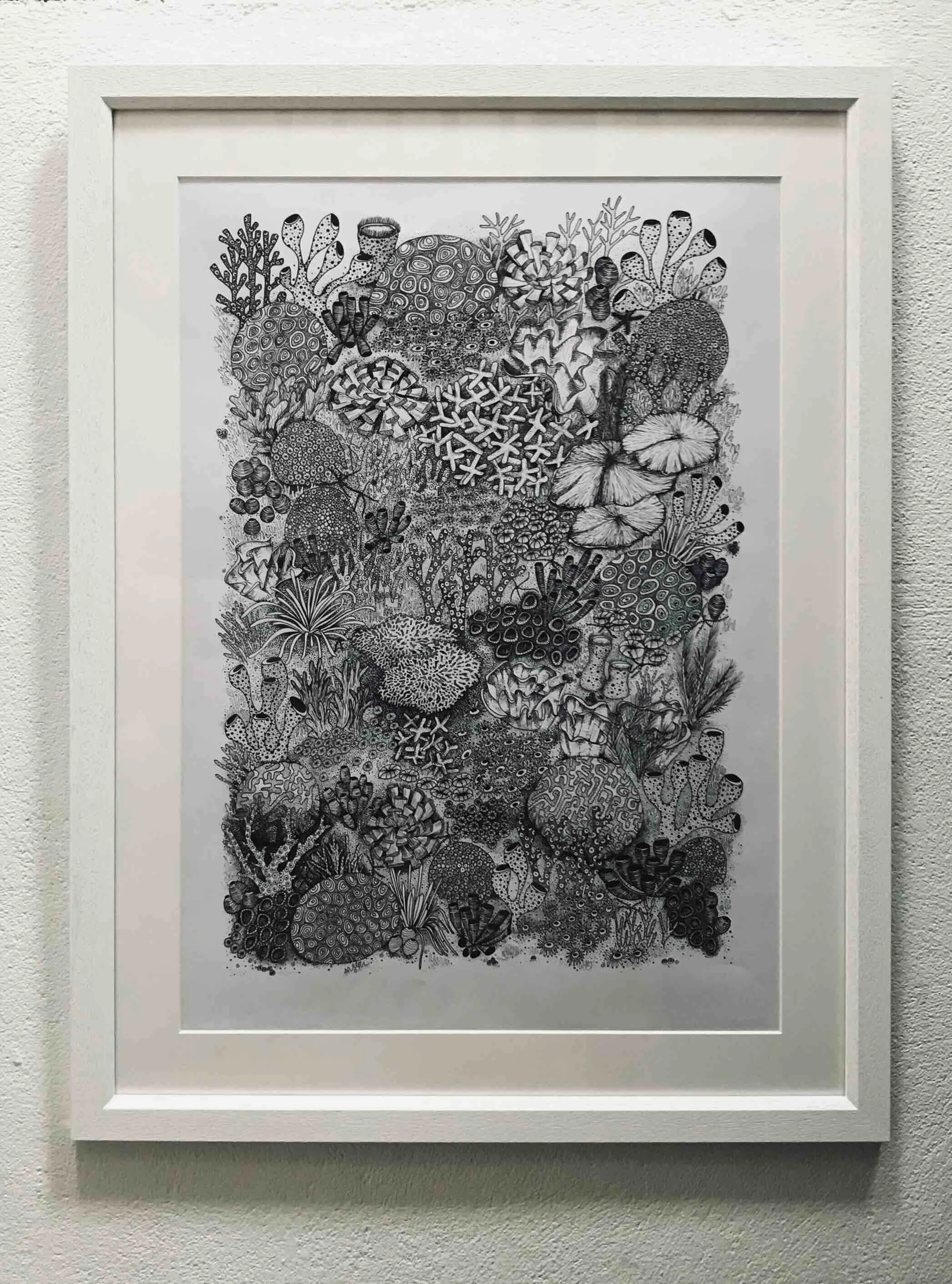 Coral Garden pen anding ©LissyMarsh