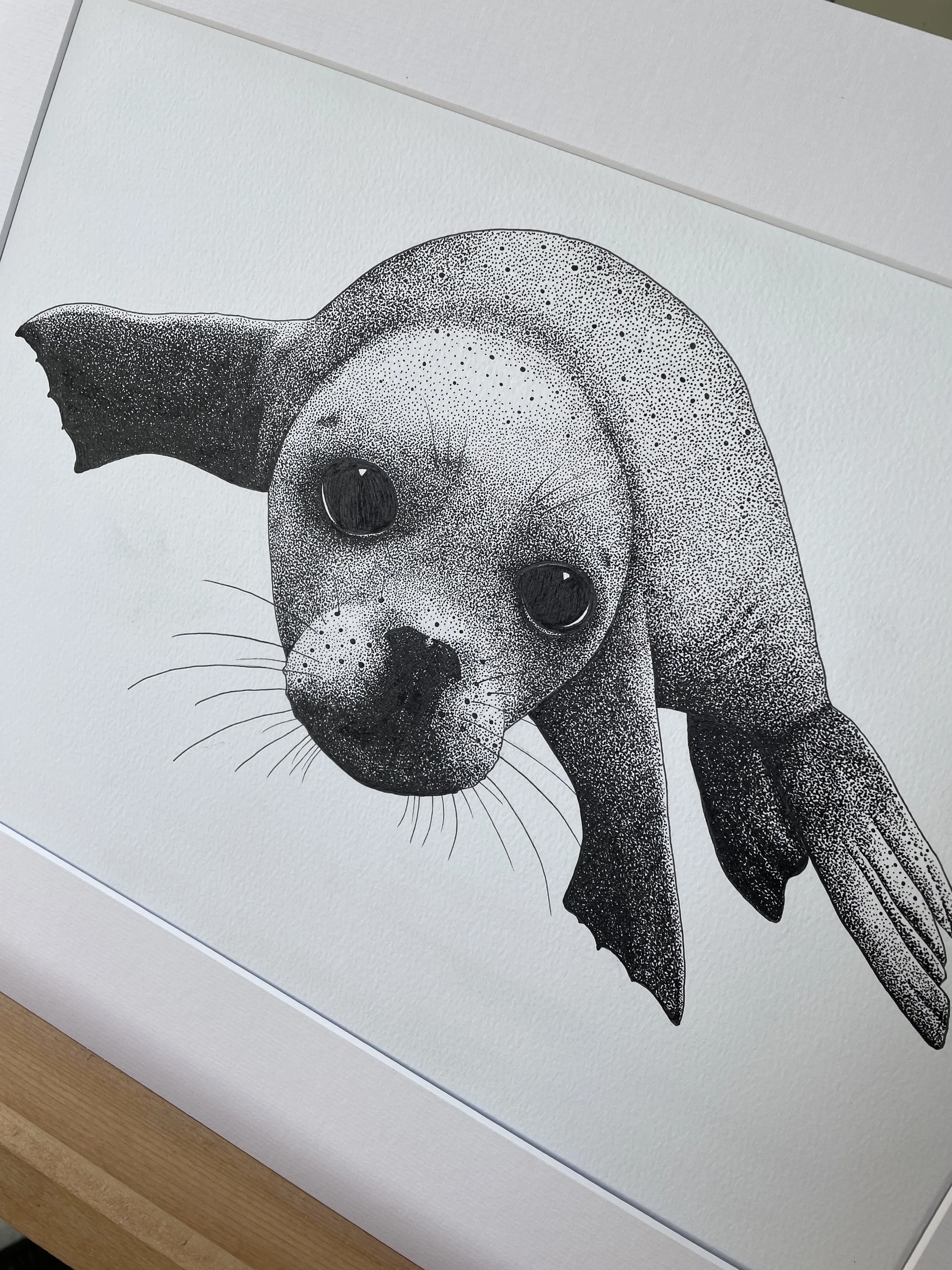 ©Lissy-Marsh-Grey-Seal