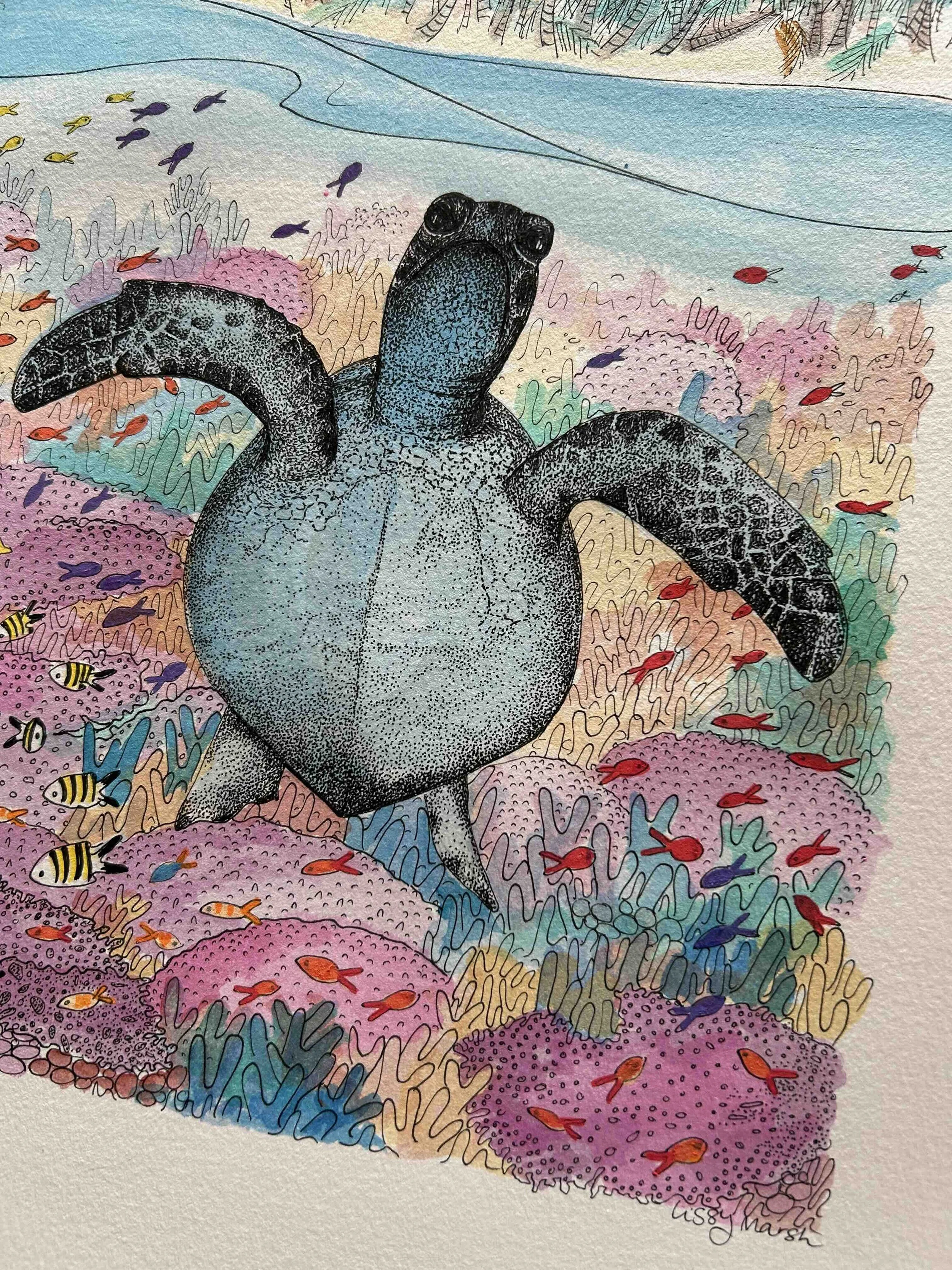 Turtle in the coral pen and ink.jpg