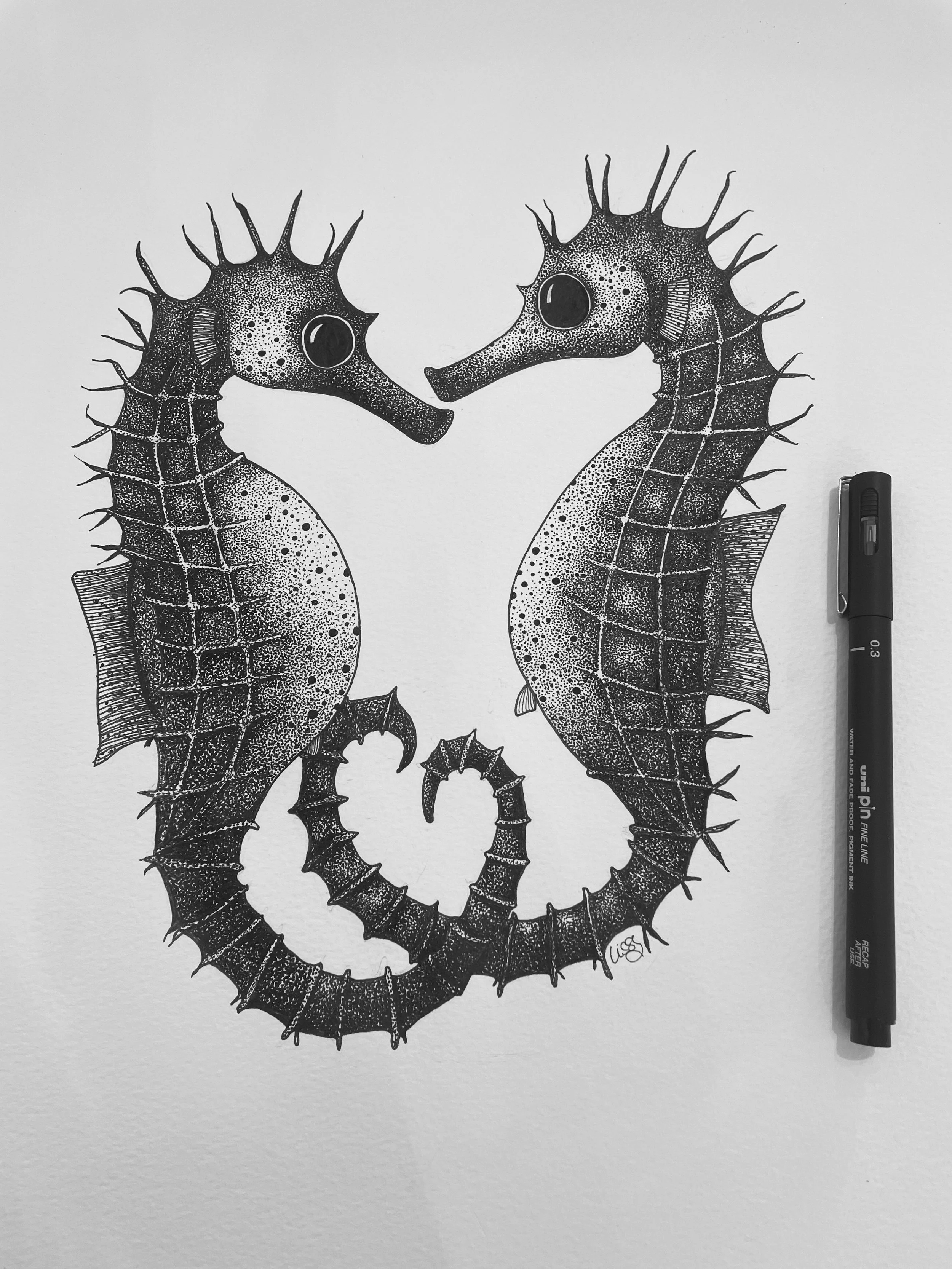 Pen and ink seahorse drawing by Lissy Marsh