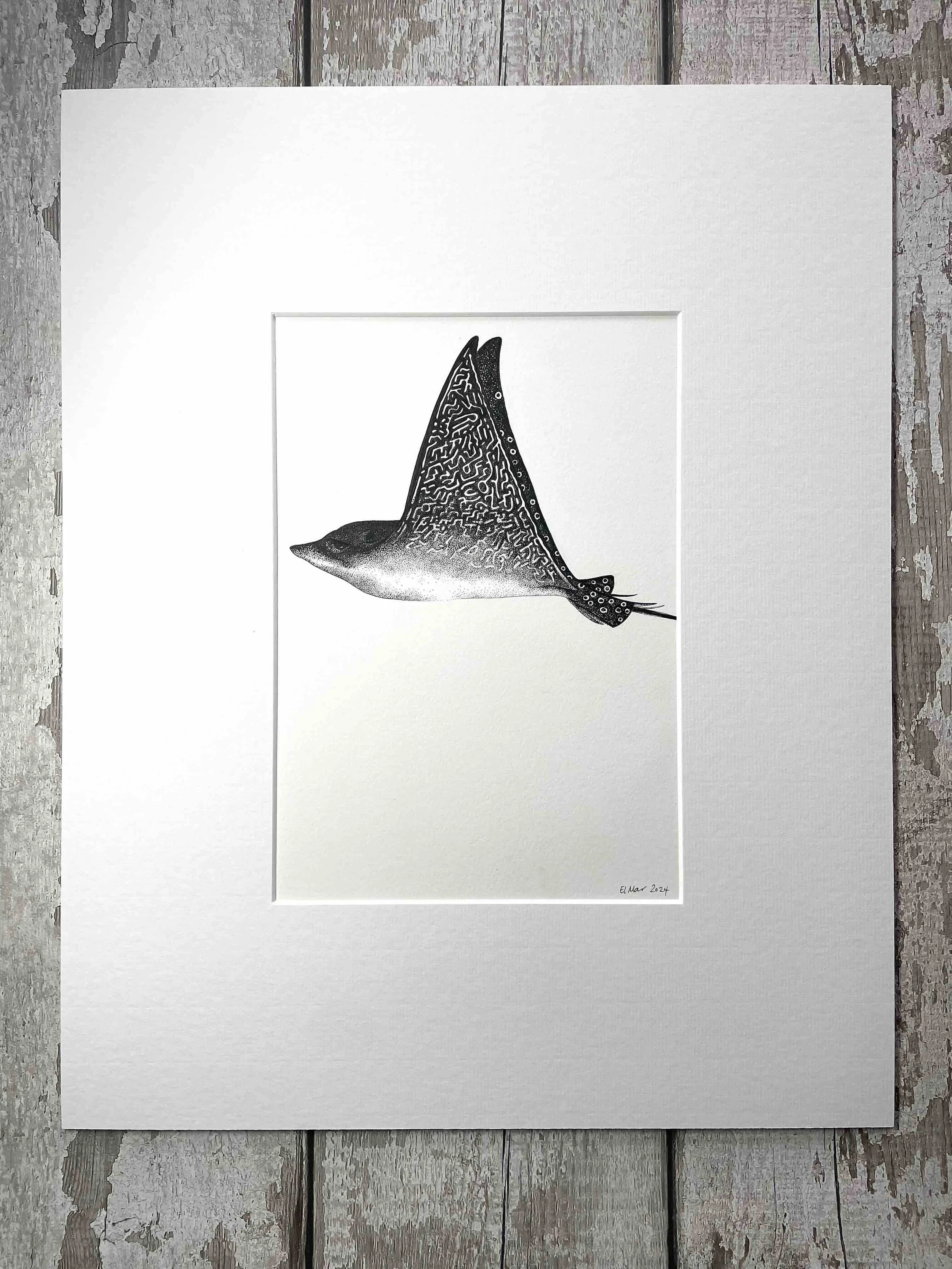 ©Lissy-Marsh-eagle-ray