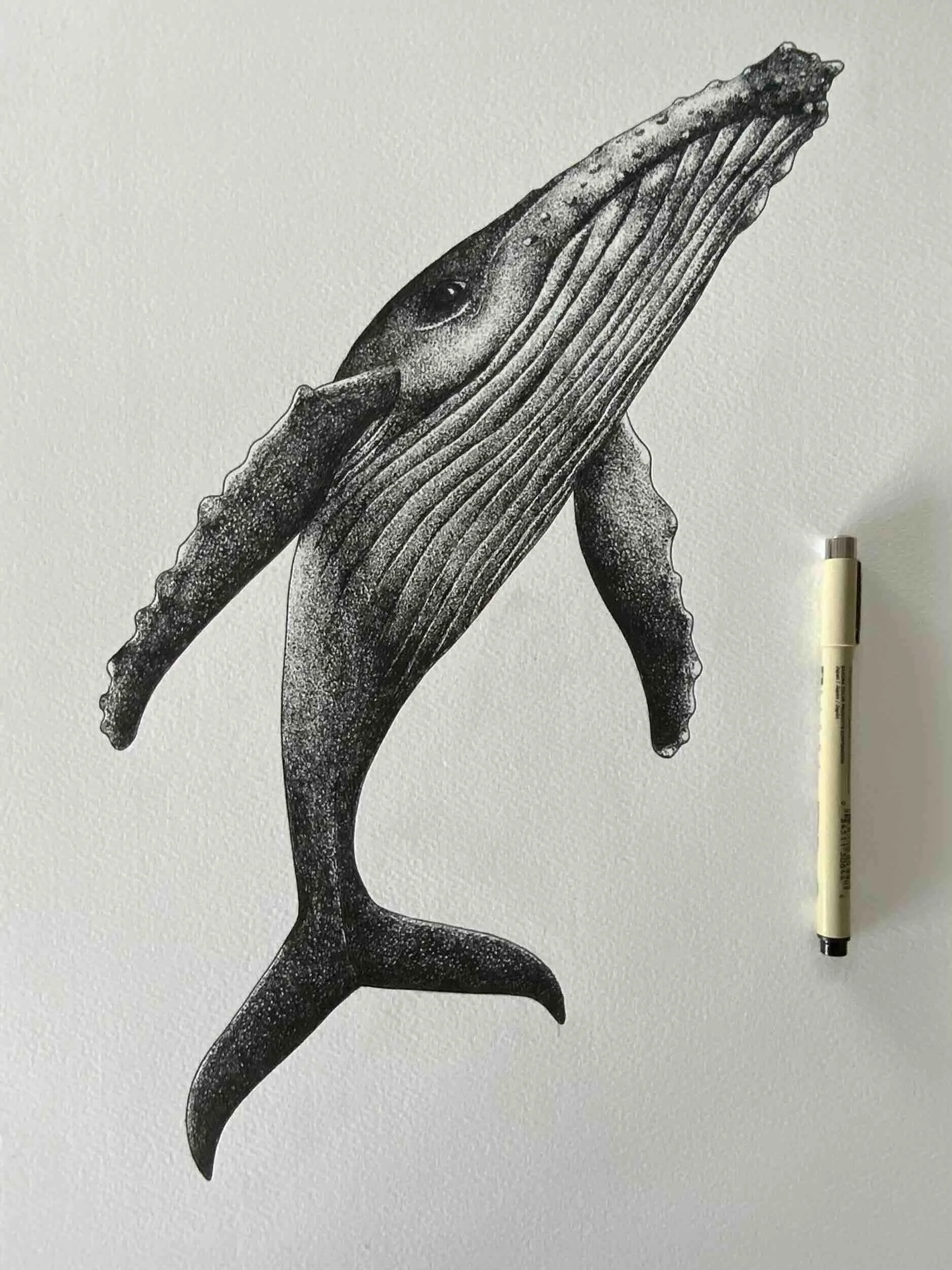 Humpback Whale dotwork art ©LissyMarsh
