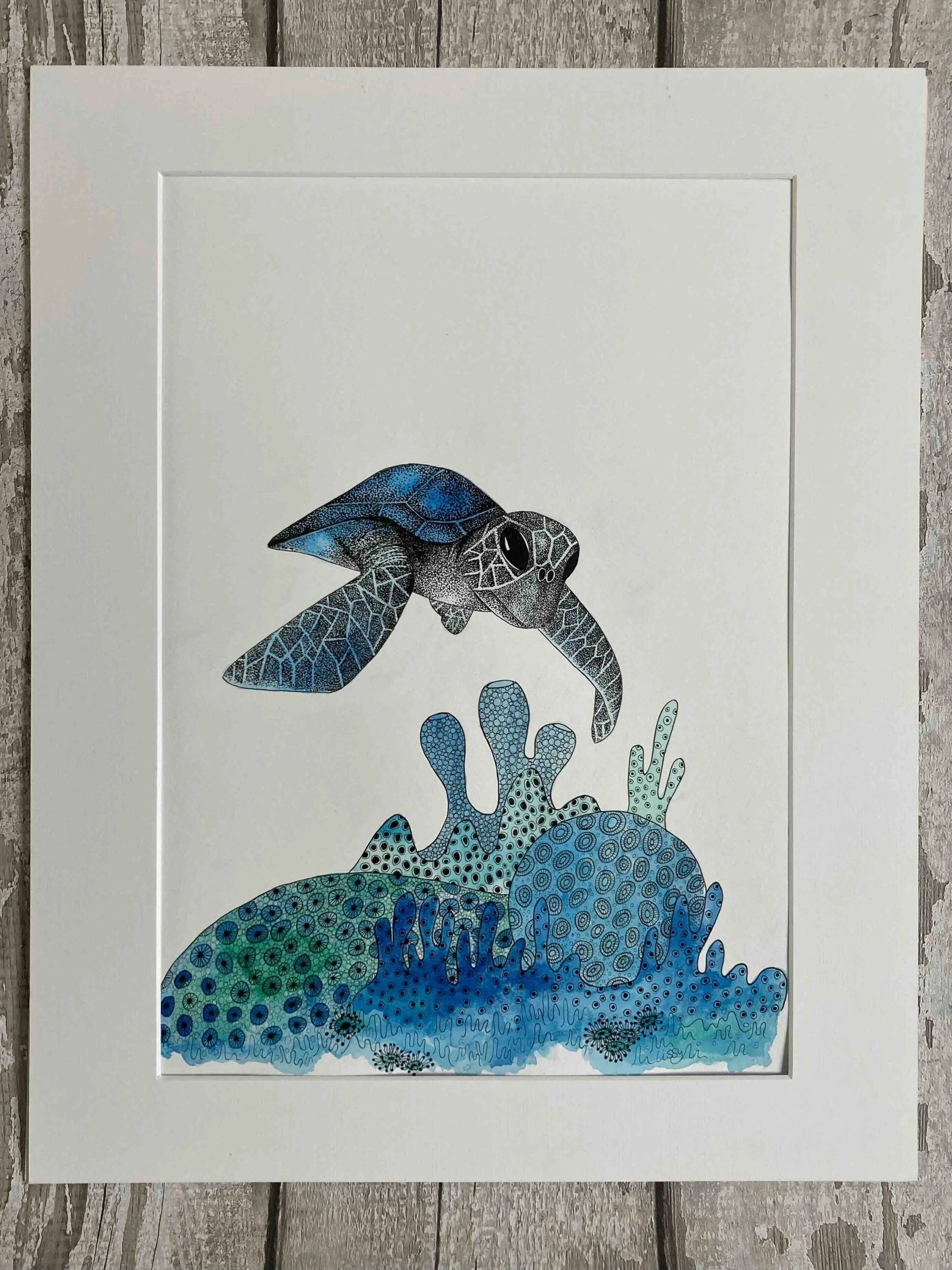 Turtle and coral © Lissy Marsh