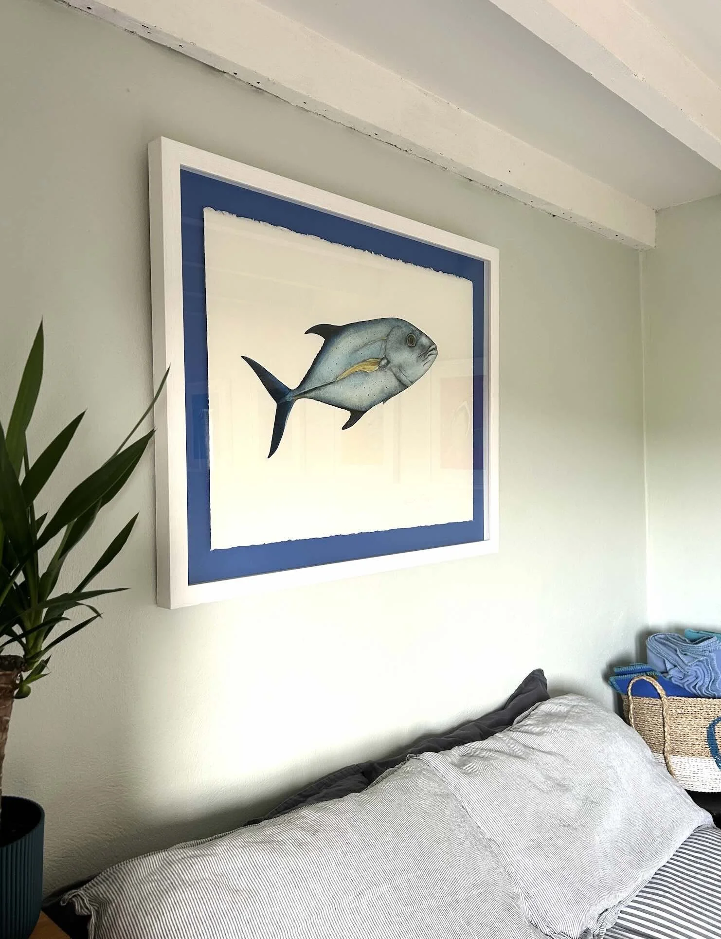 Framed Bluefin Trevally by Lissy Marsh.jpg