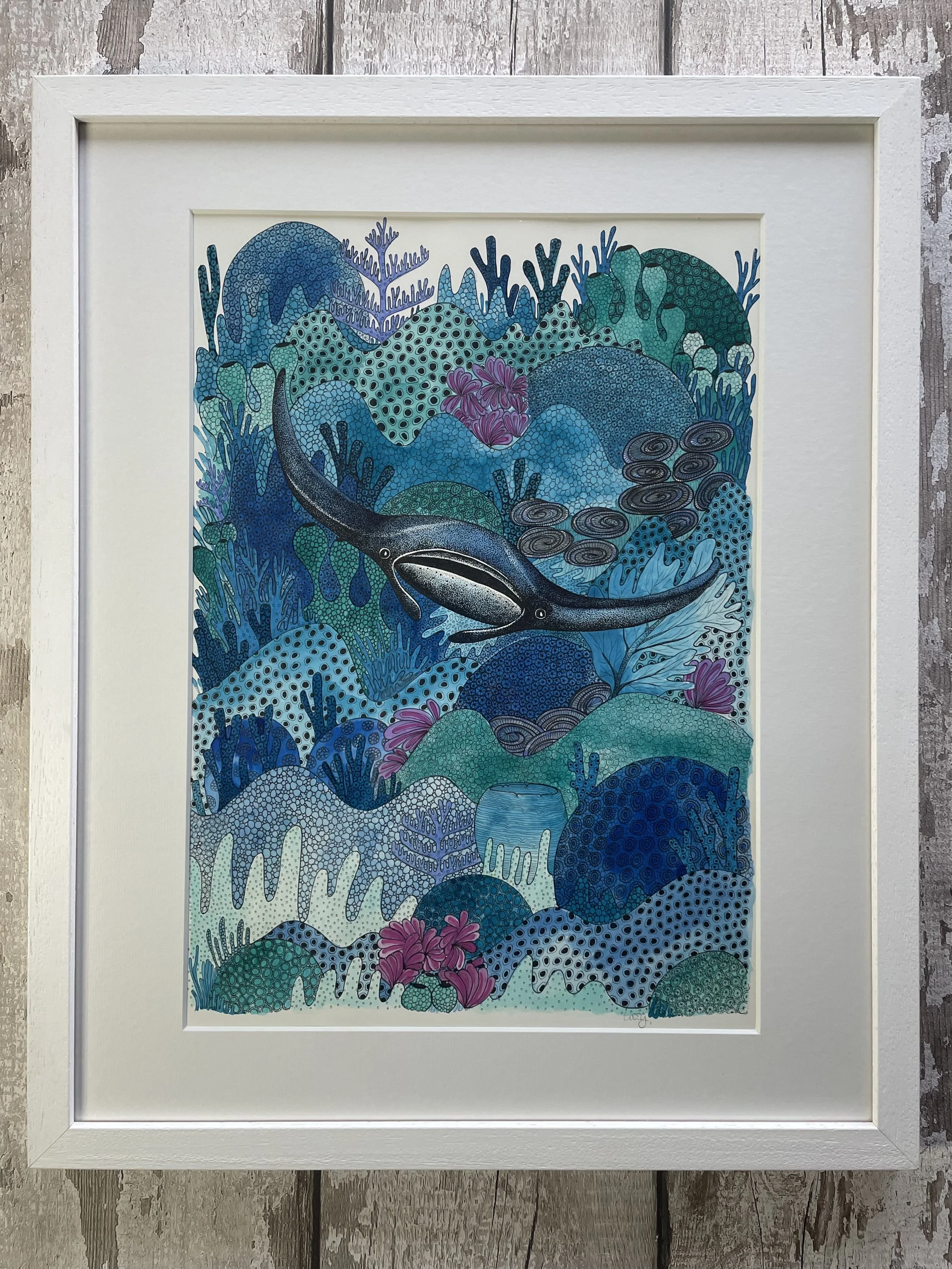 ©Lissy-Marsh-Manta-Ray