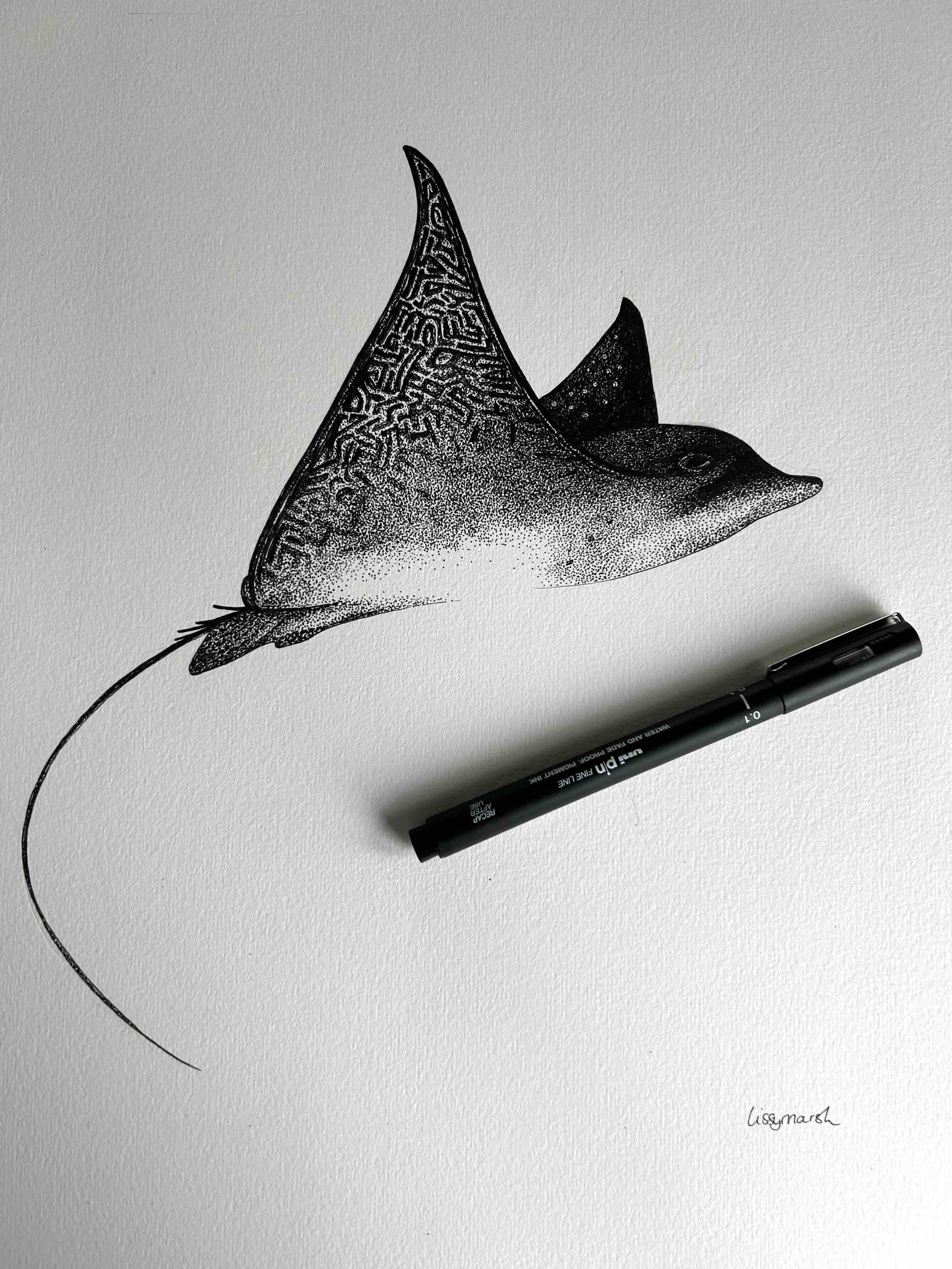 Spotted Eagle Ray © Lissy Marsh
