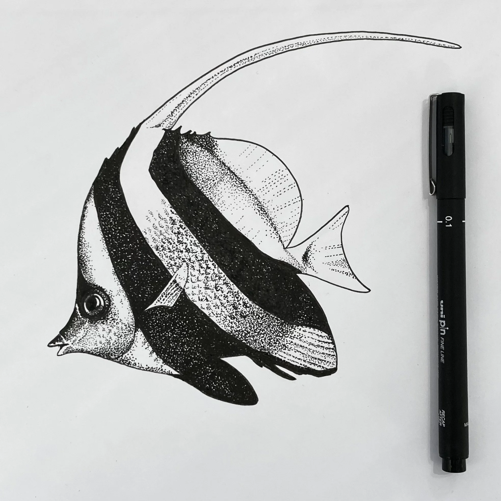 Schooling banner fish pen and ink
