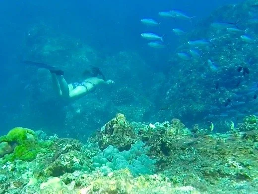 Lissy Marsh chasing fish at Richelieu Rock, Thailand