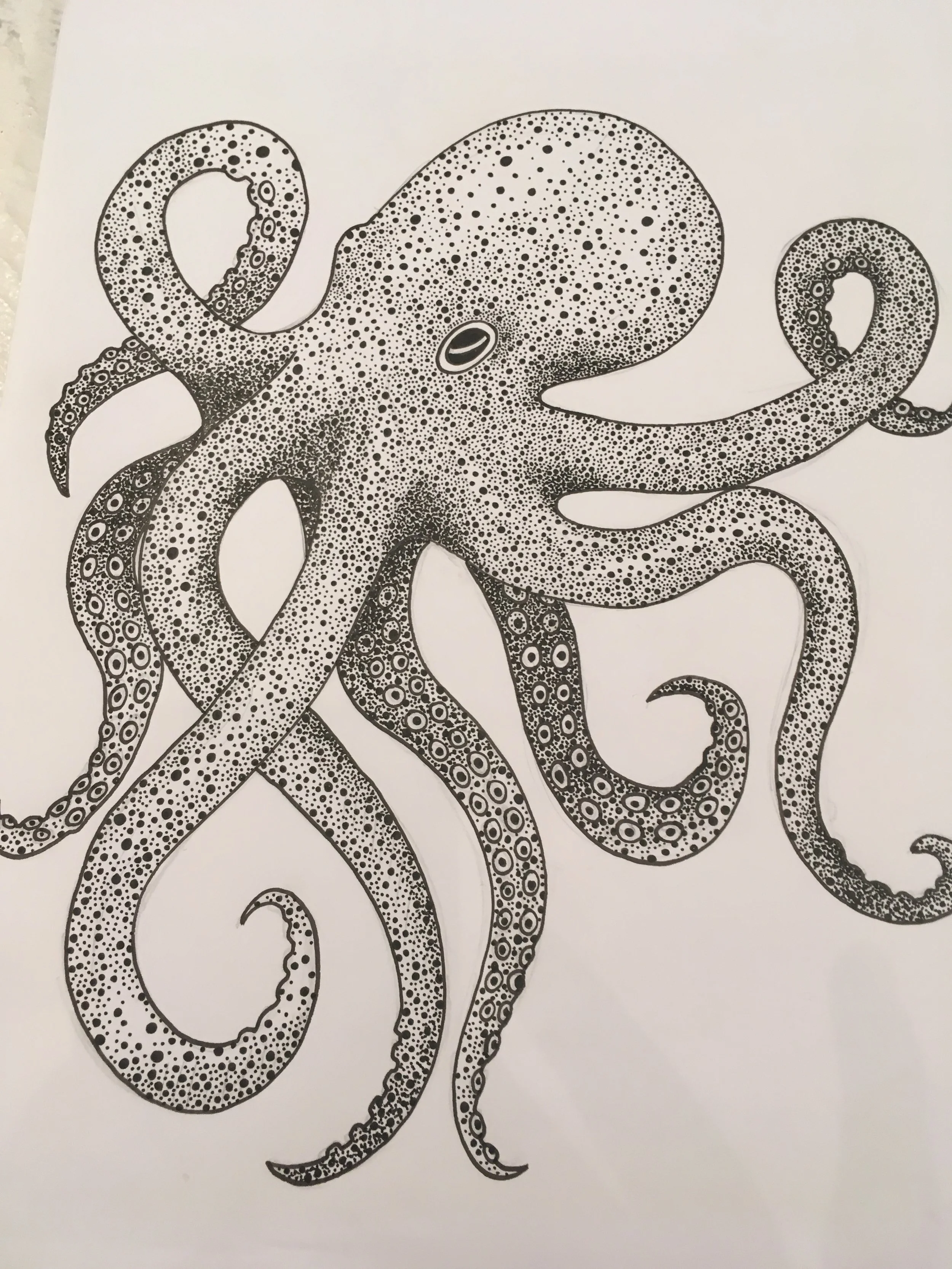 ©Lissy-Marsh-Octopus