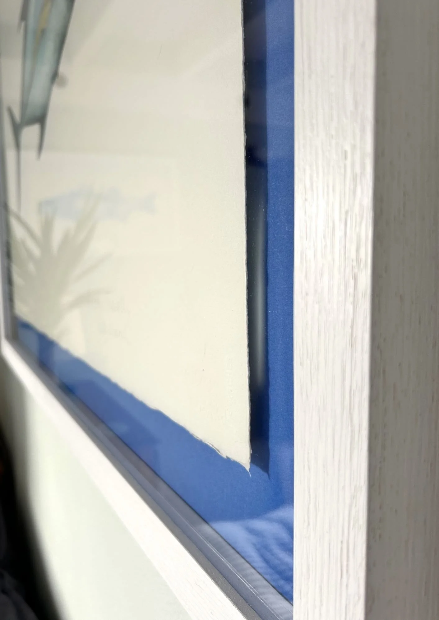 Bluefin Trevally paper detail.jpg