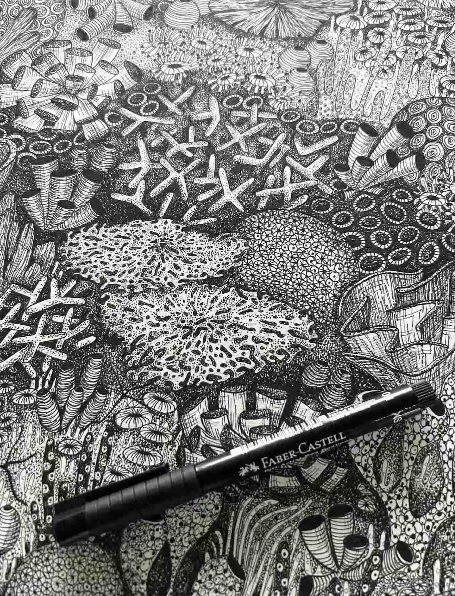 Coral pen and ink study.jpg