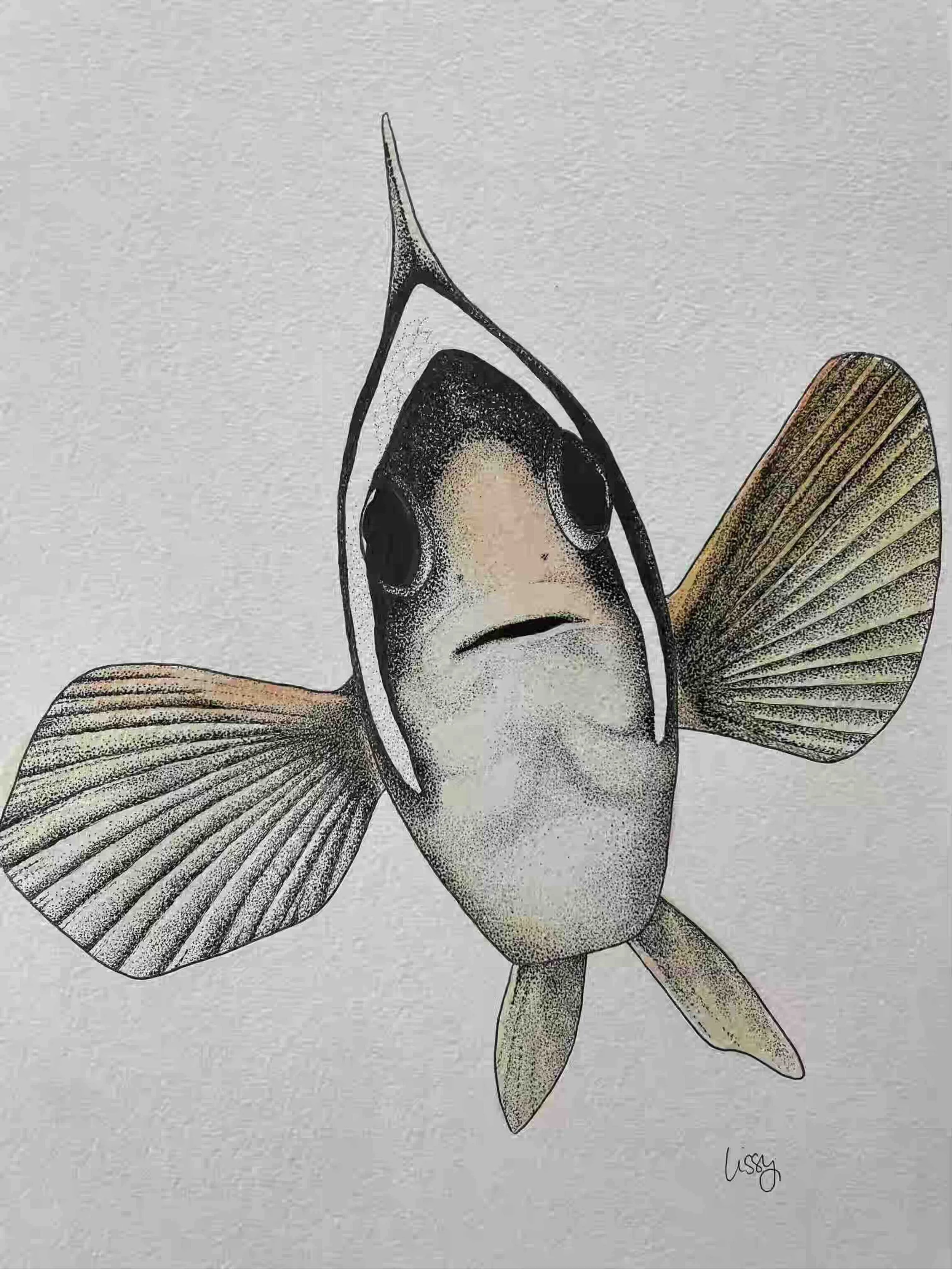Clownfish © Lissy Marsh