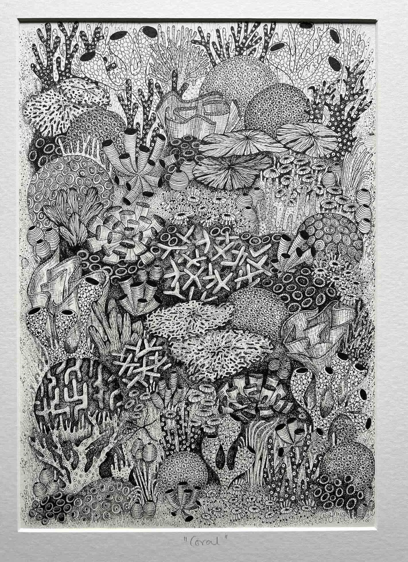 Coral by Lissy Marsh.jpg