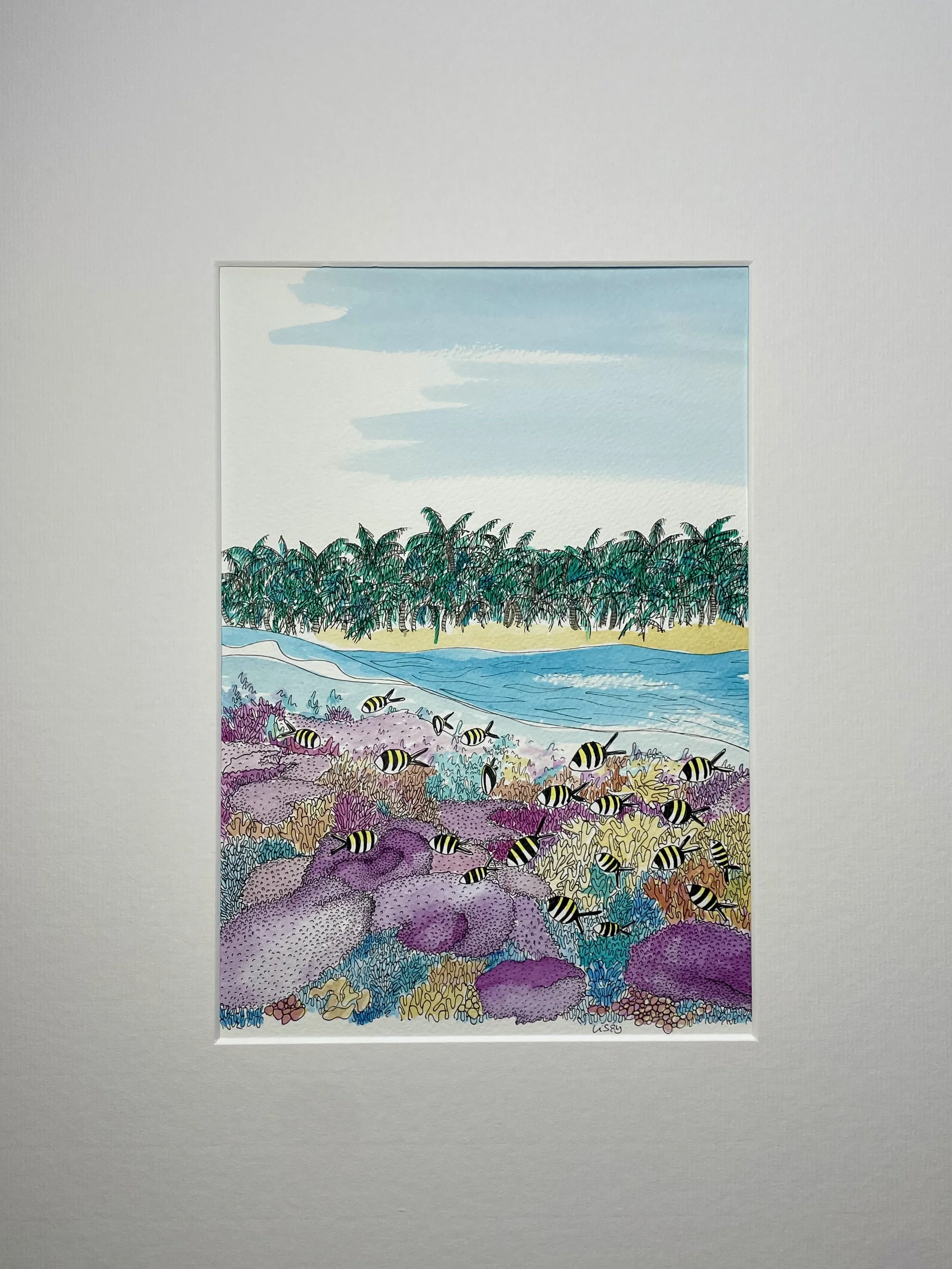 ©Lissy-Marsh-Sargeant-Major-Coral