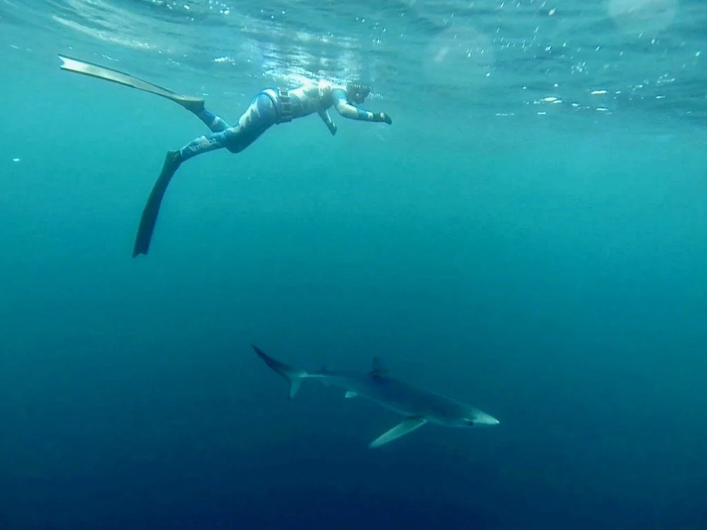 Lissy Marsh with a Blue Shark in Cornwall
