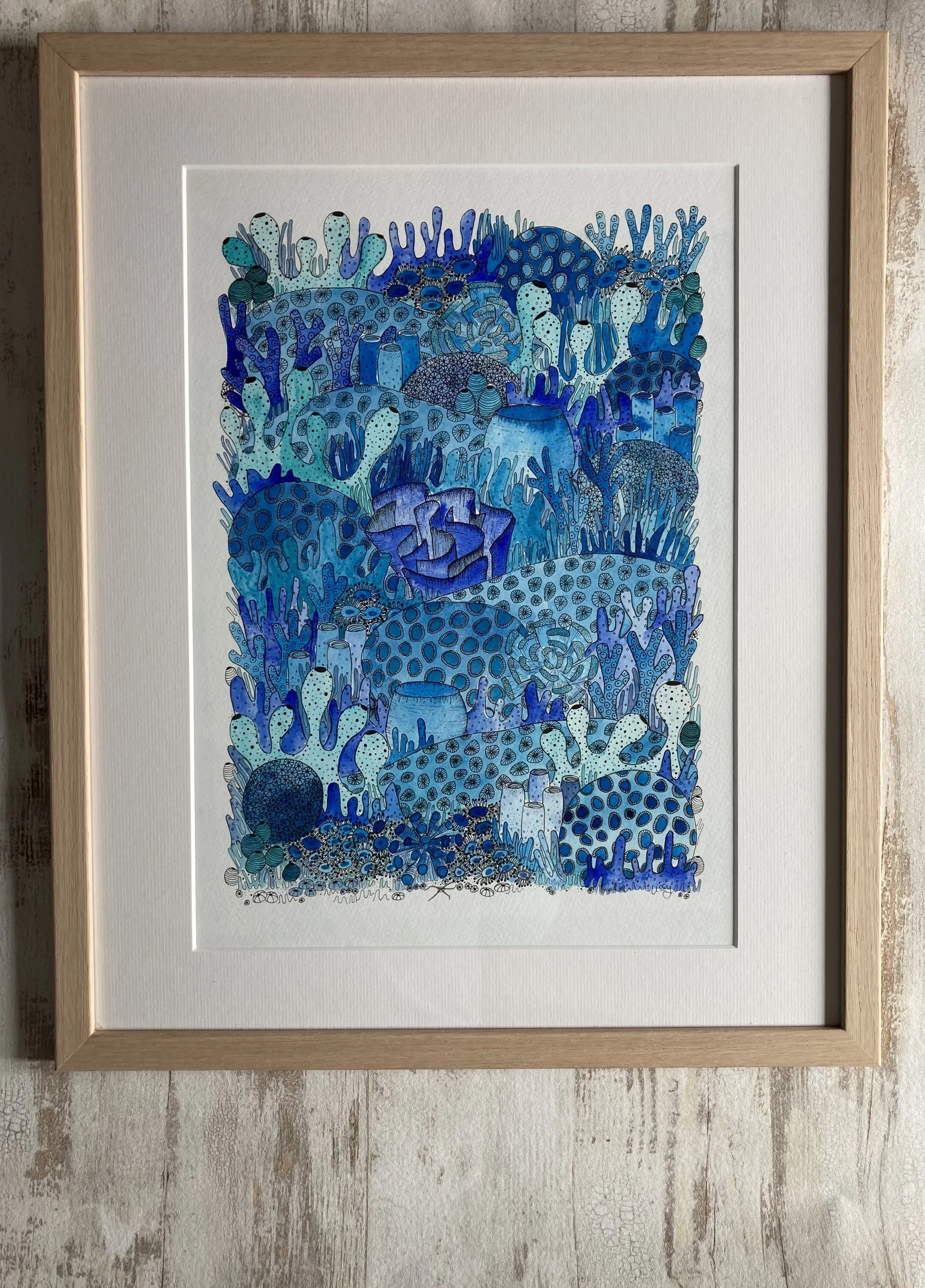 ©Lissy-Marsh-Blue-Coral