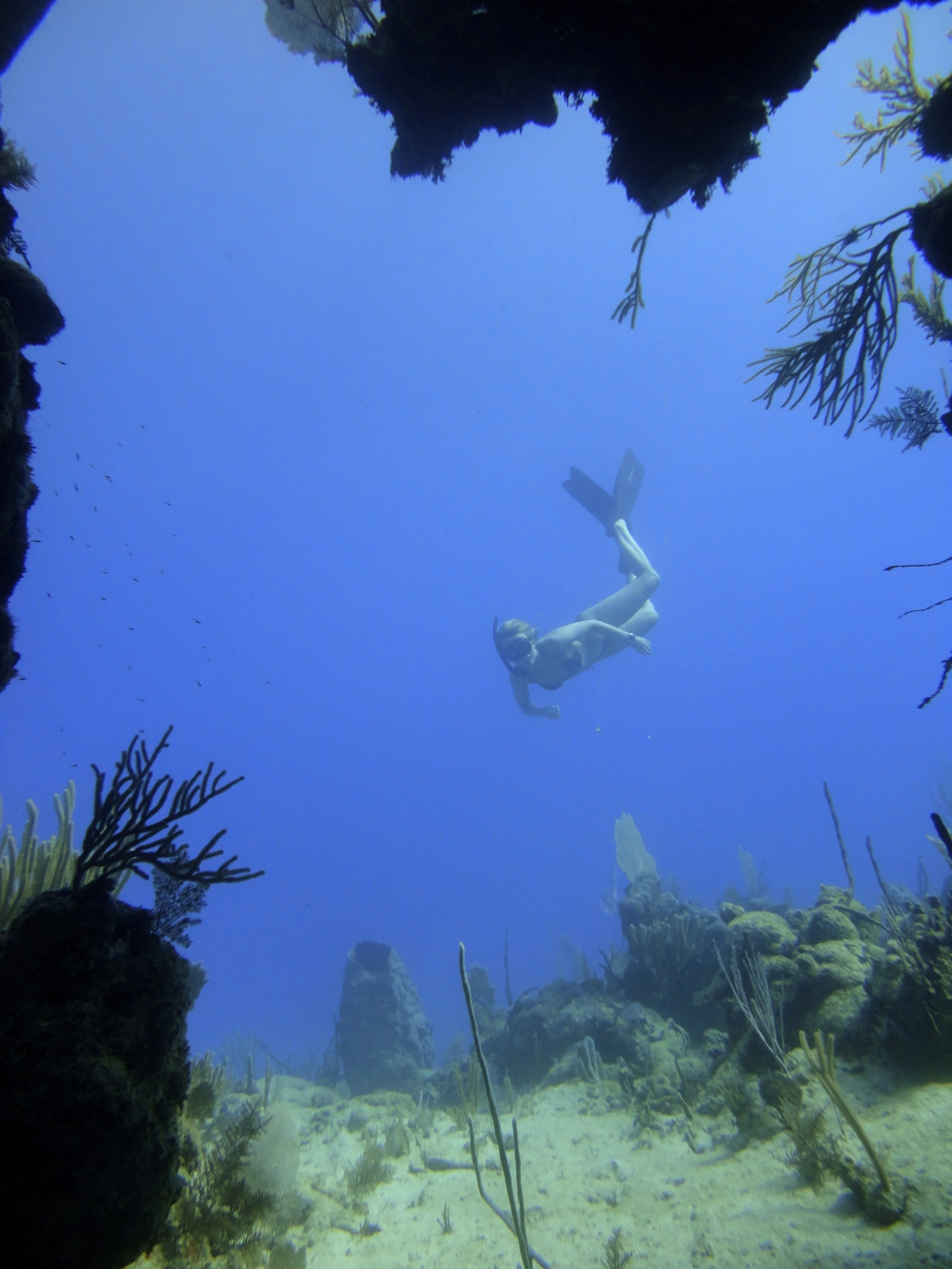 Lissy Marsh freediving in the Caribbean sea