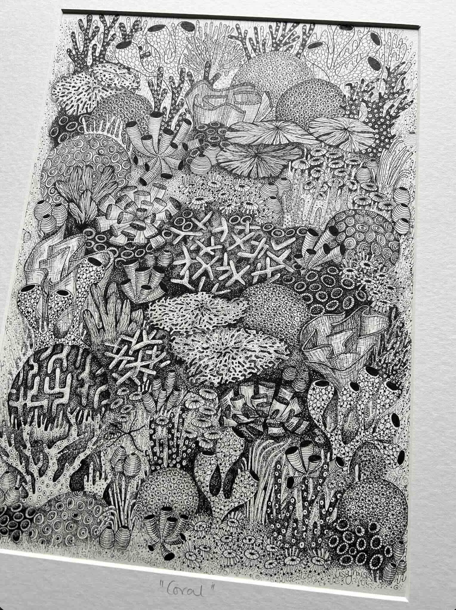 Coral p3.jpg