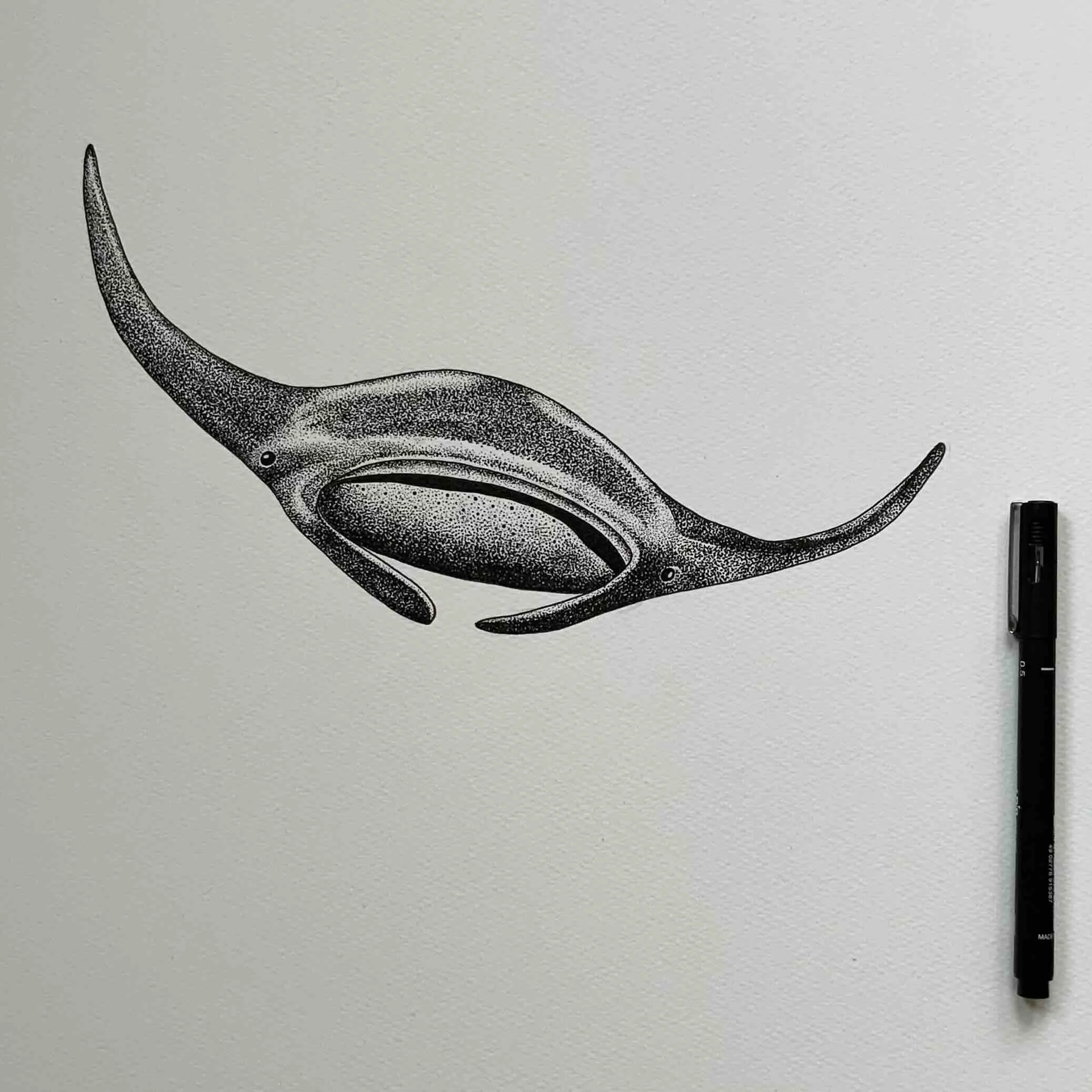 Happy Manta ©LissyMarsh