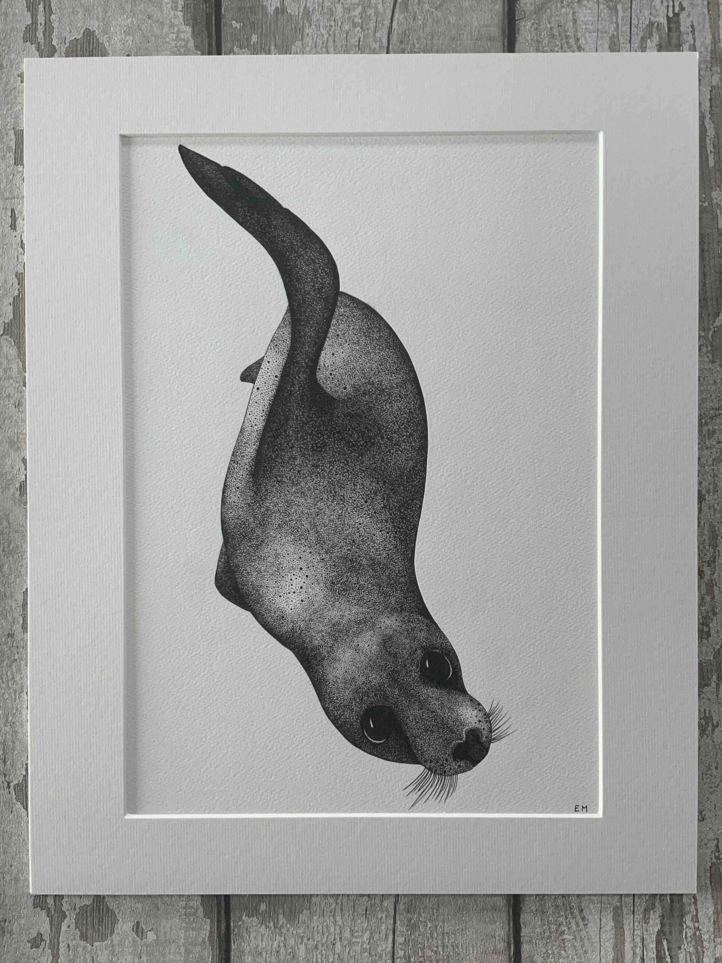 Seal Pup © Lissy Marsh