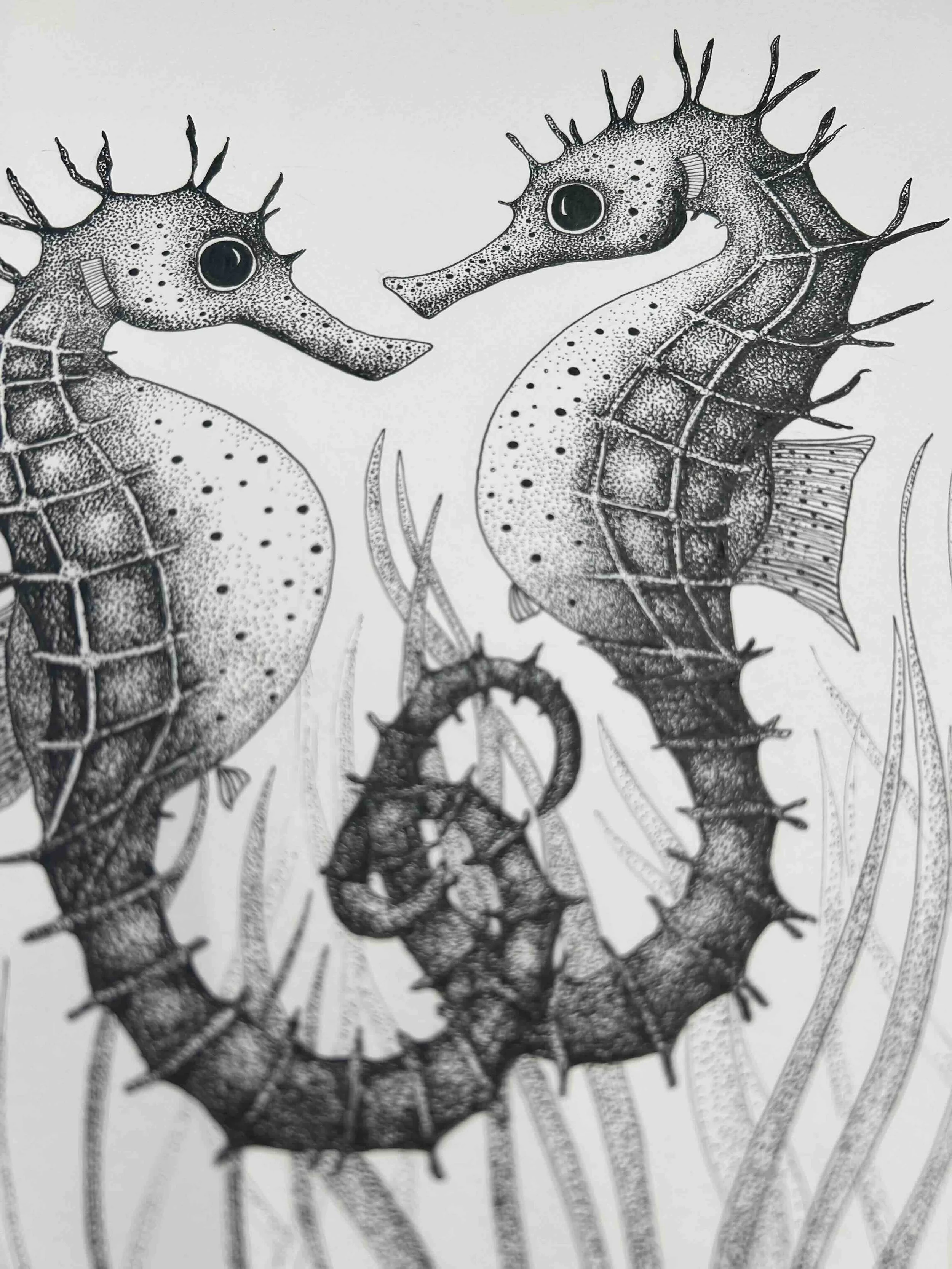 Seagrass seahorses pen and ink.jpg