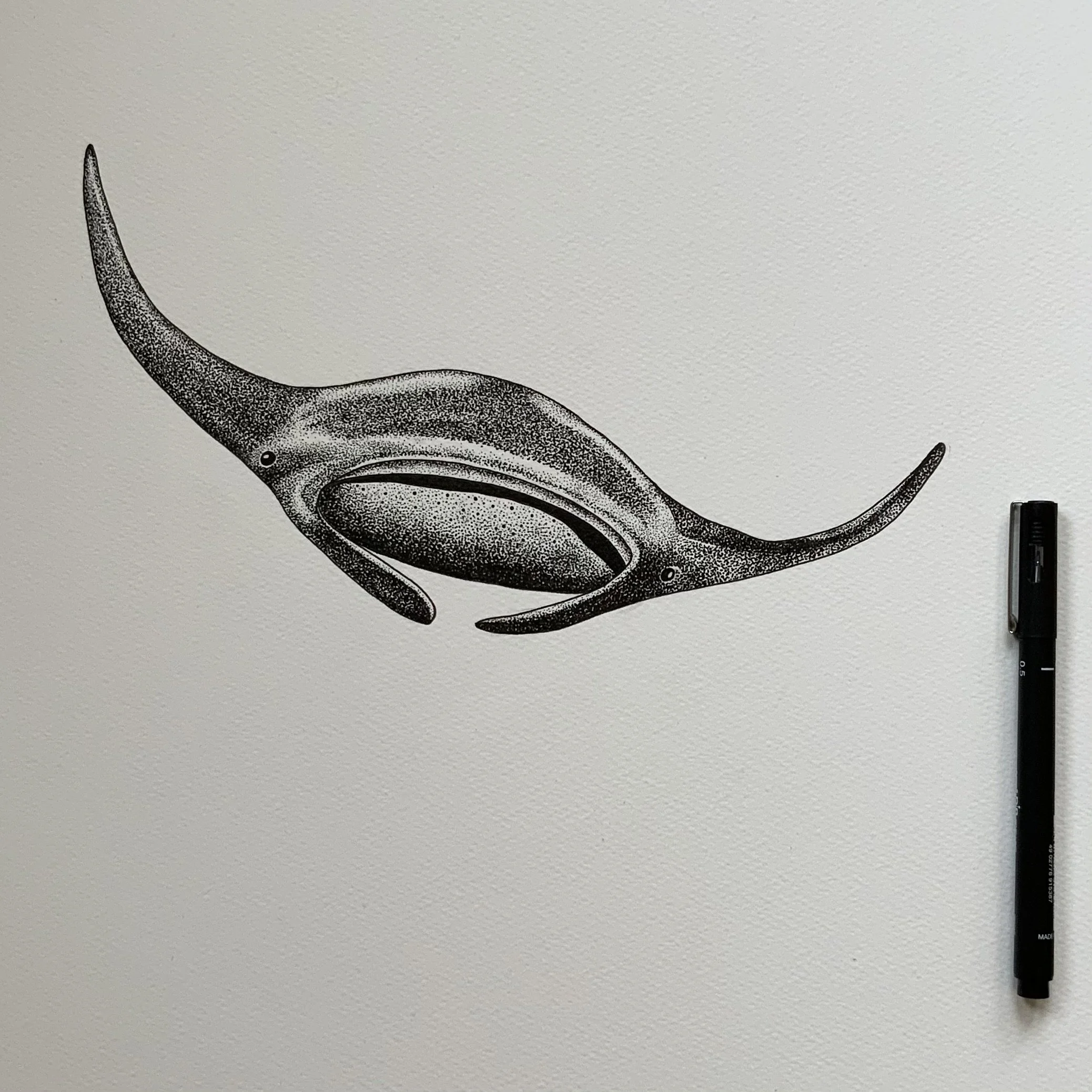 ©Lissy-Marsh-Happy-Manta