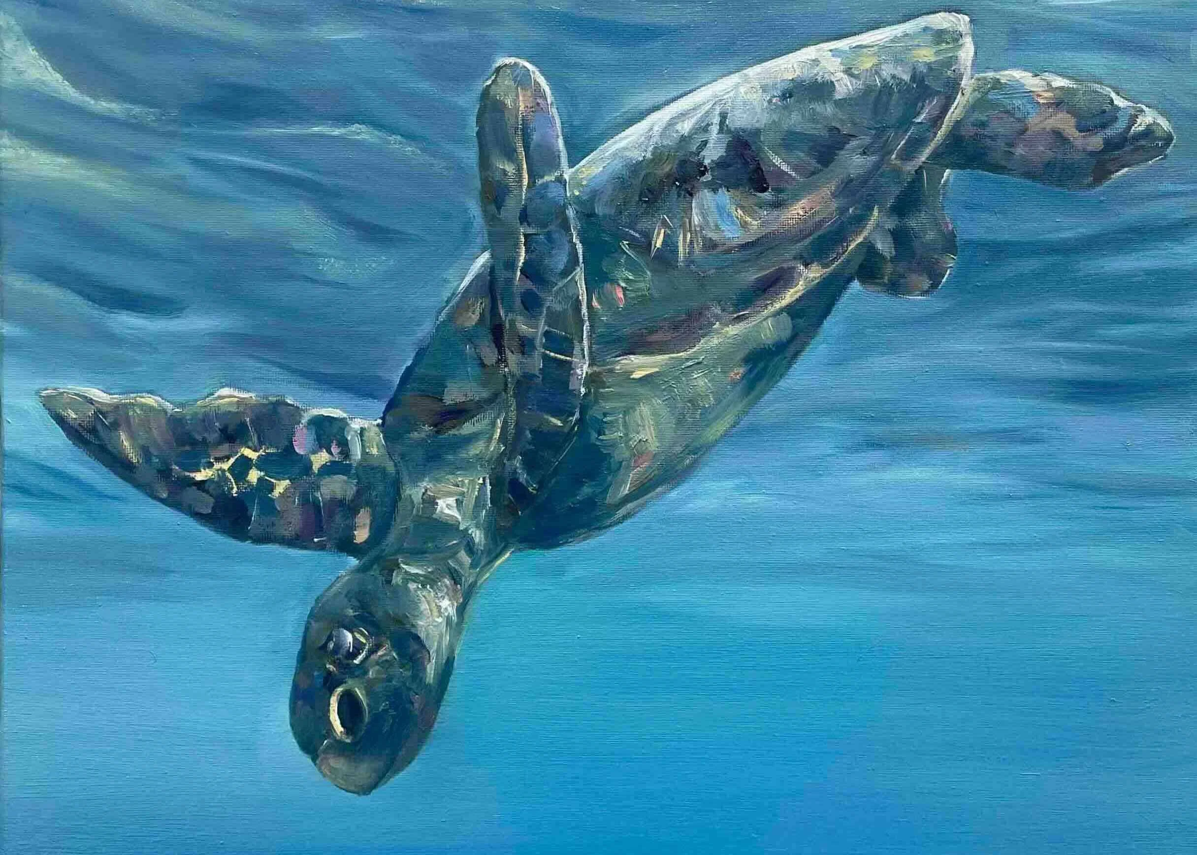 Freediving Turtle Oil Painting by Lissy Marsh.jpg